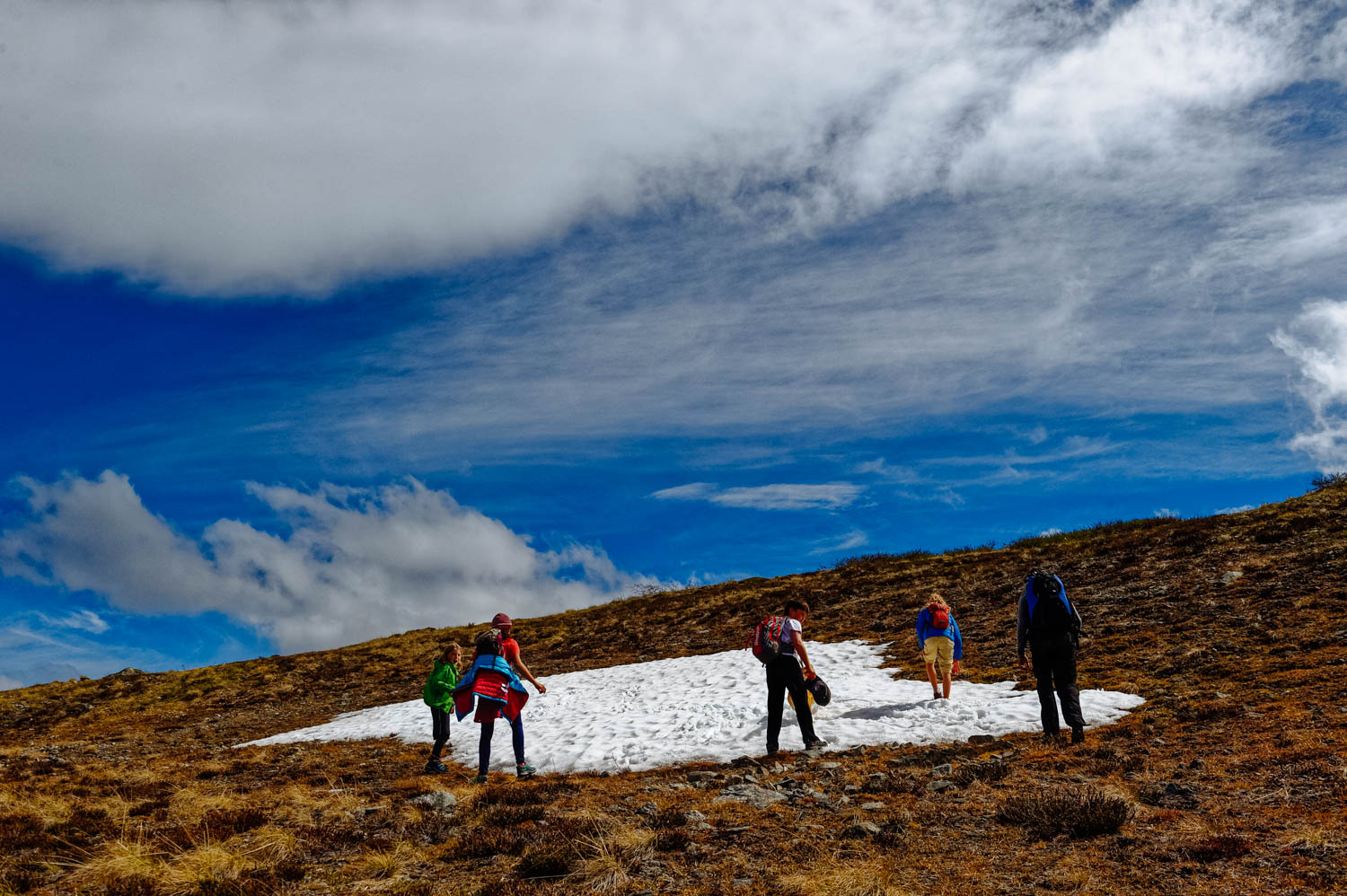 Time for a June snowball fight!