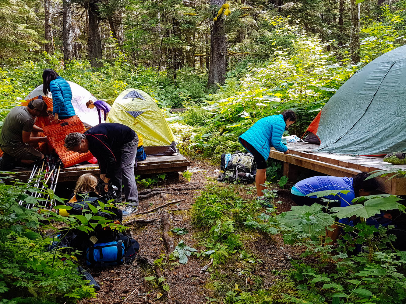 Hiking the Chilkoot Trail Road it Up