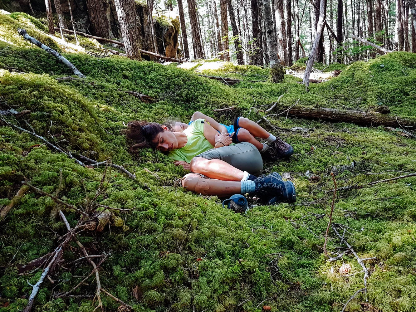 Fairies in the moss.
