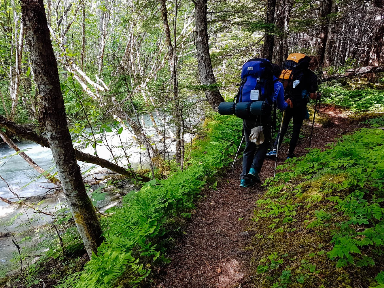 The trail follows the Taiya River all the way to Sheep Camp.