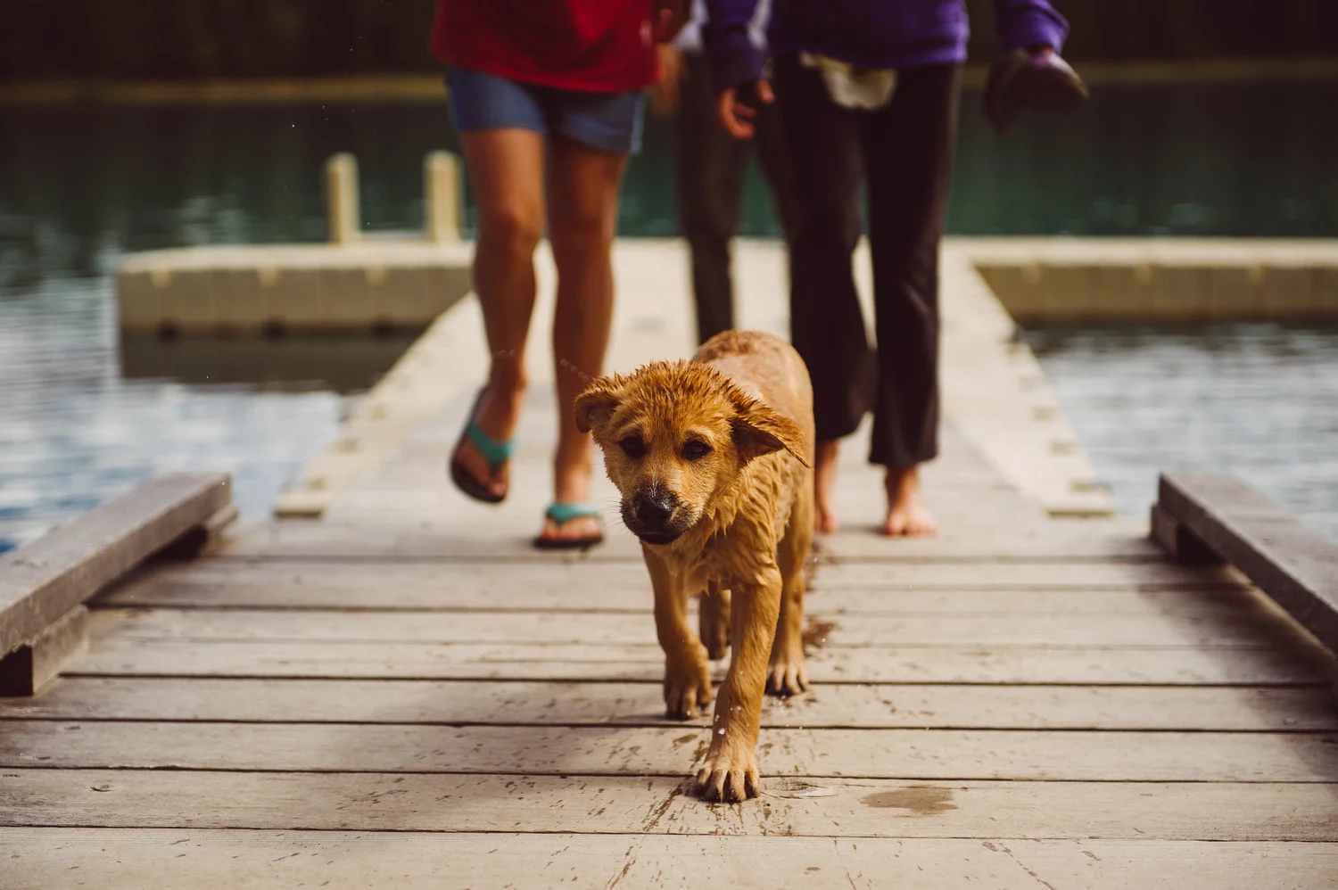 Your first swim... 