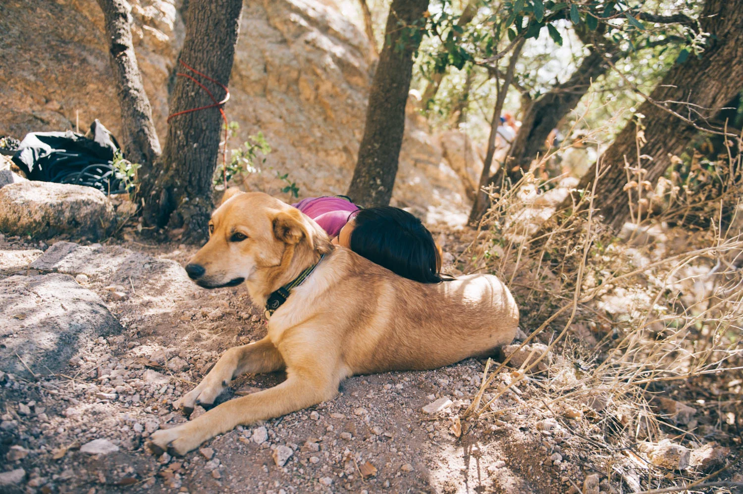 You were the best pillow for tired little climbers.