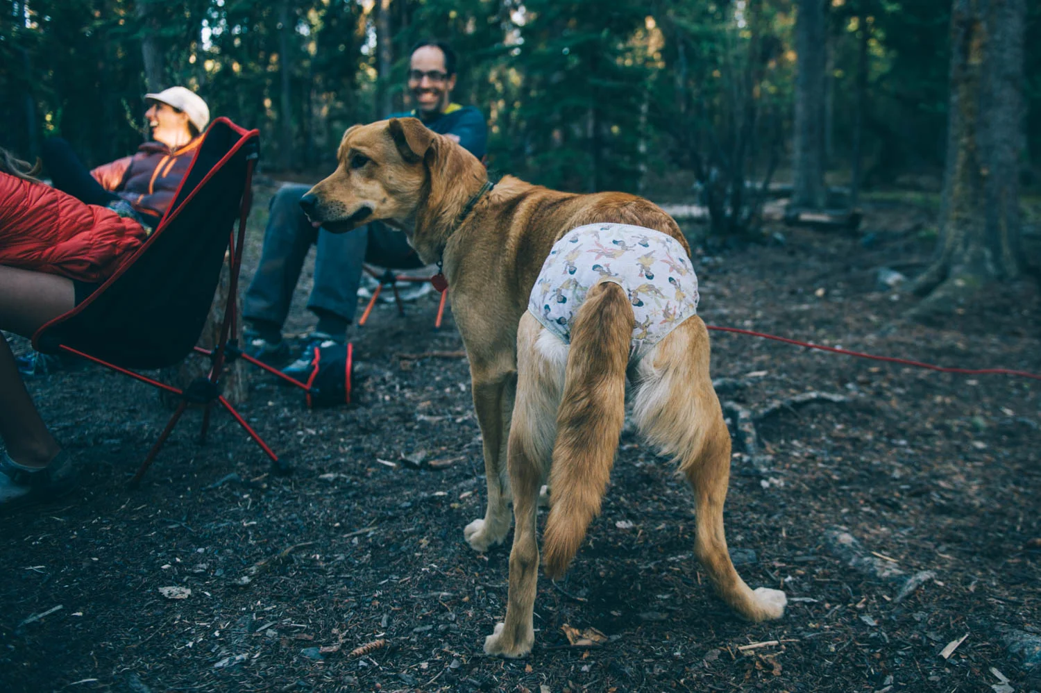 That time we made you wear underwear to keep you from licking your stitches...