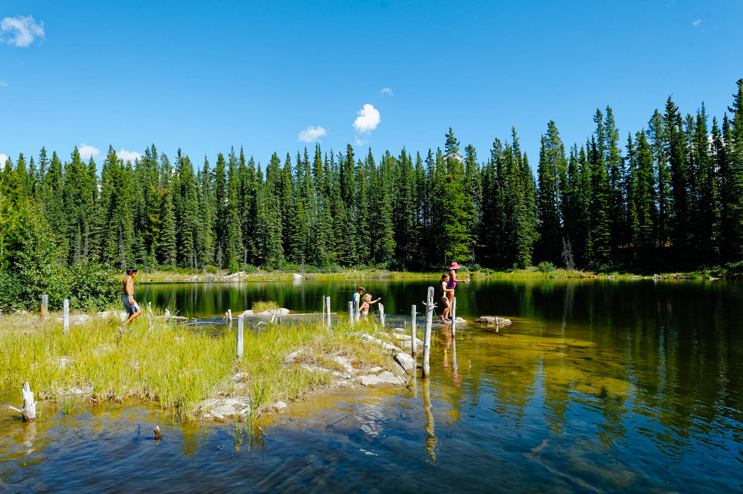 Pond exploration.&nbsp;