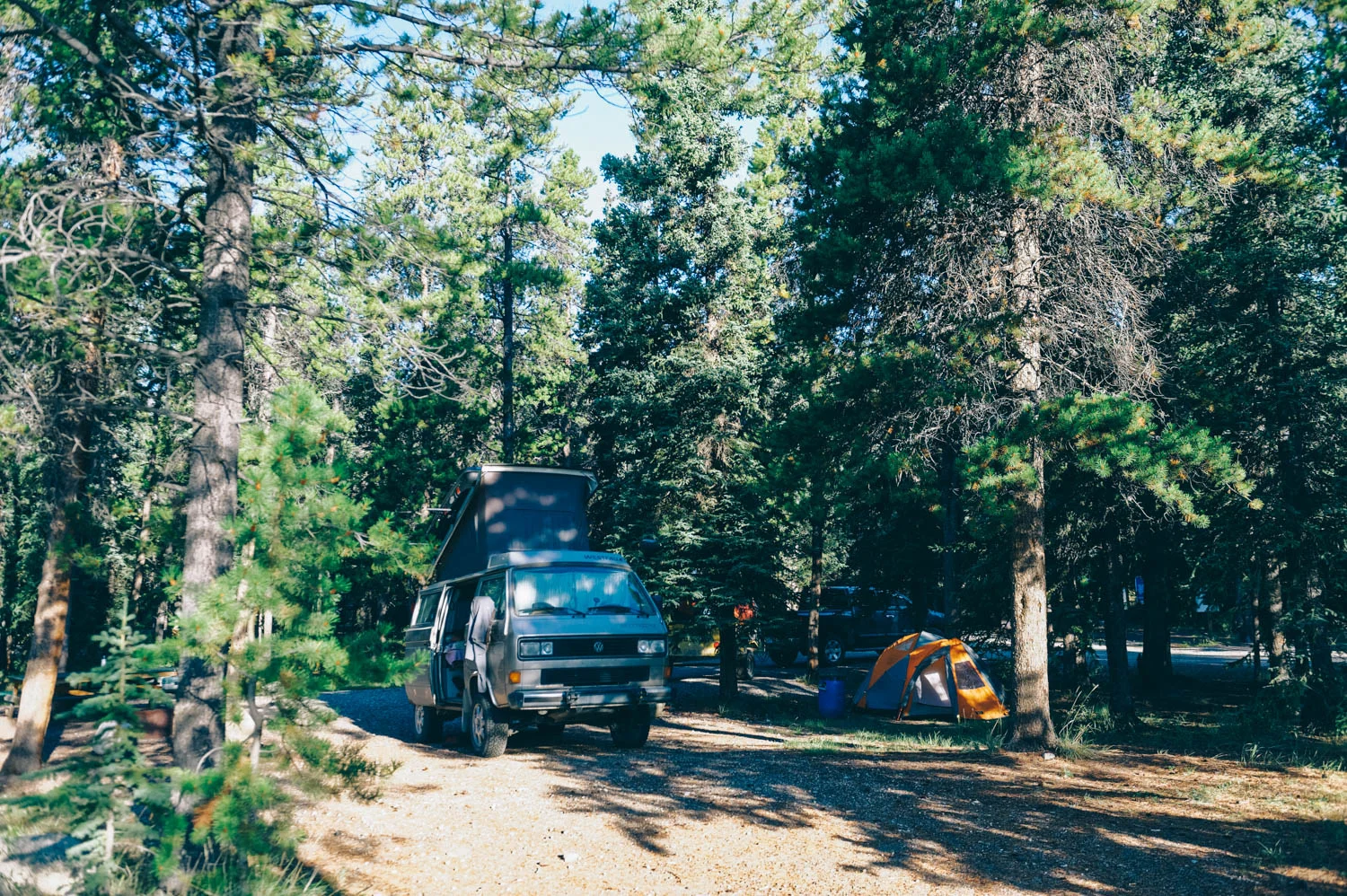 Morning light at camp.