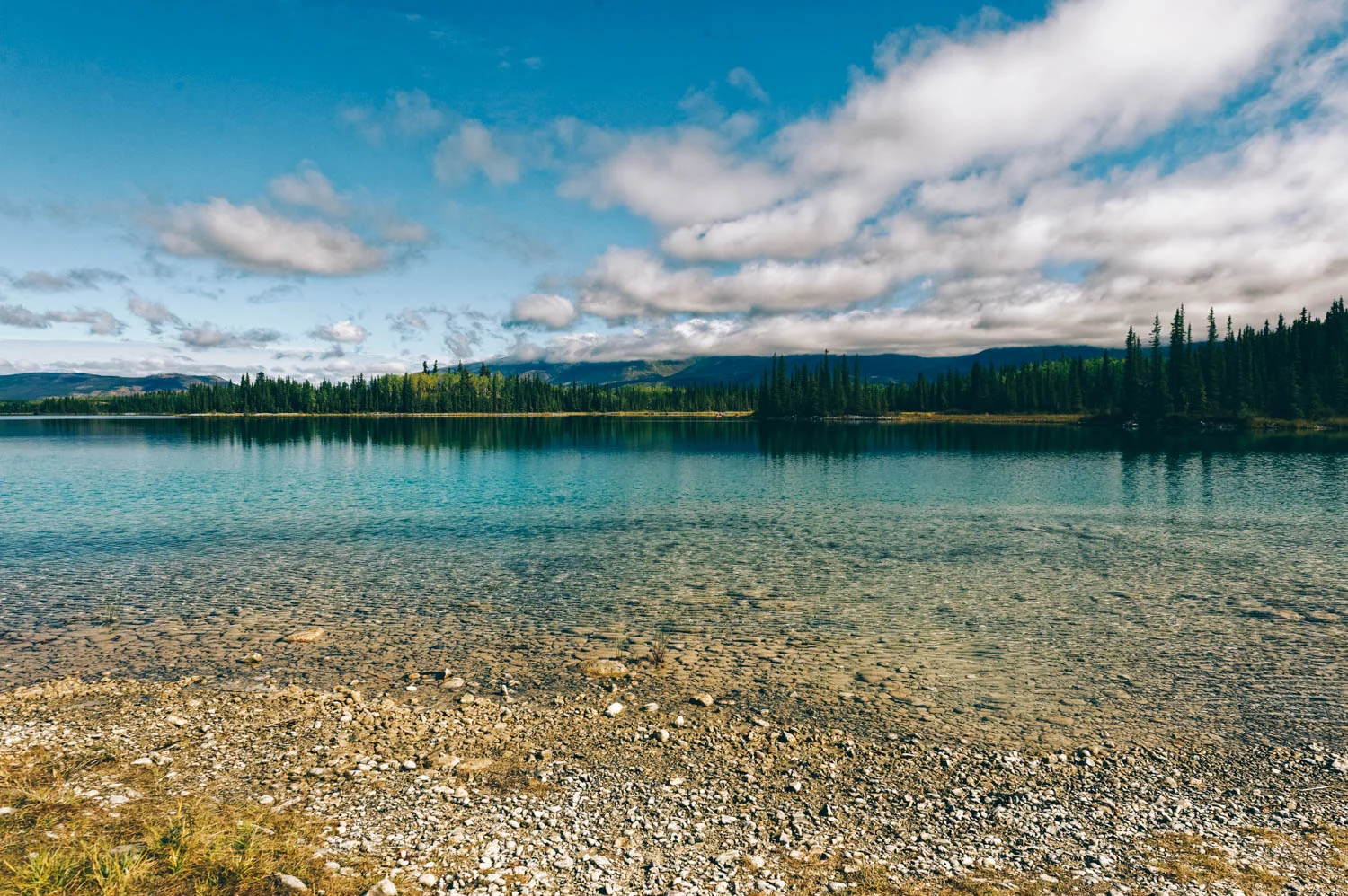 We stopped at Boya Lake on the Stewart-Cassiar Highway for a little hike.