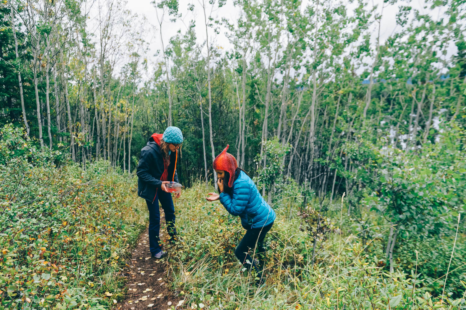 And pick berries, of course!