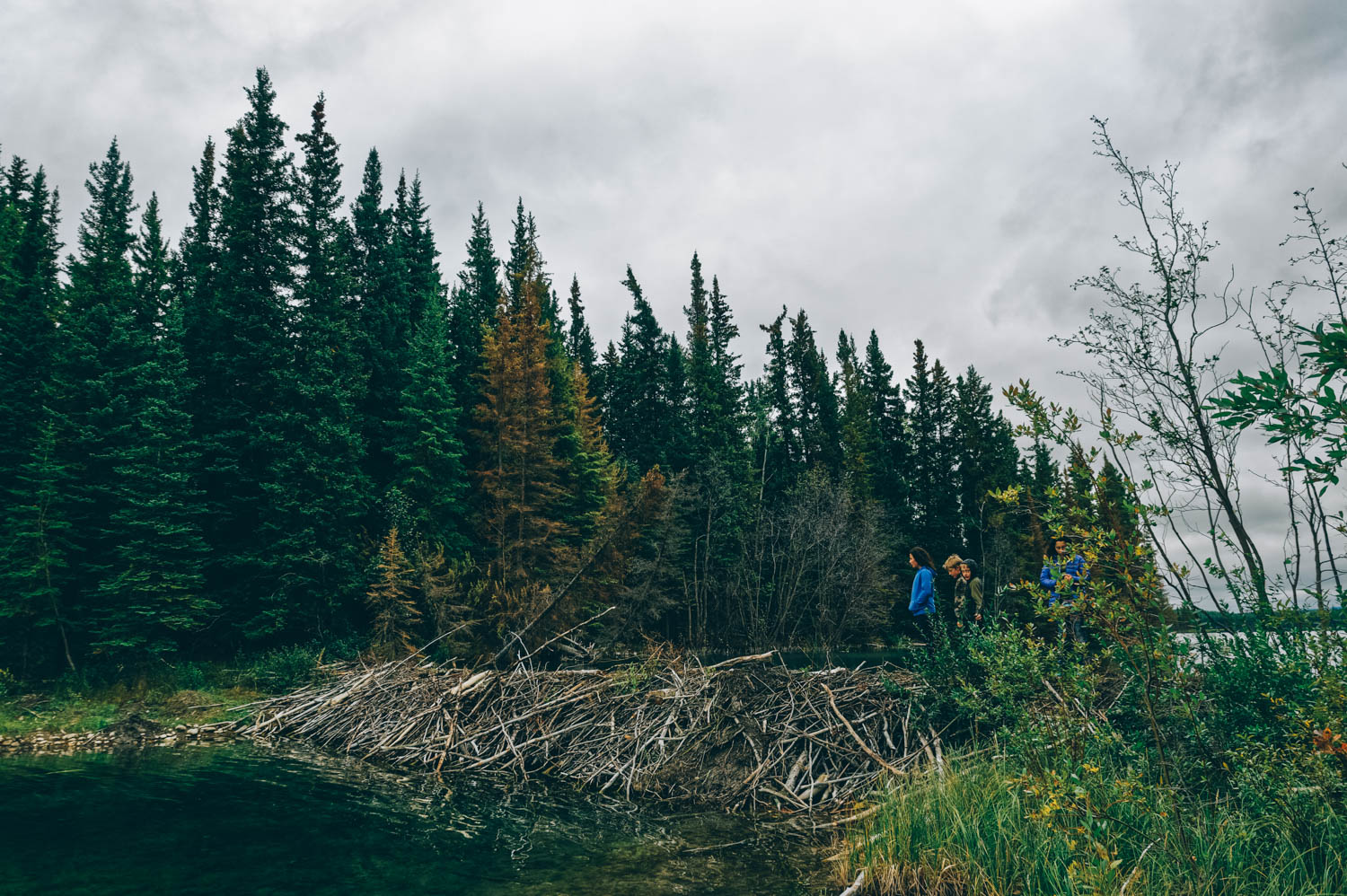 It was the first time our California friends saw a beaver dam!&nbsp;