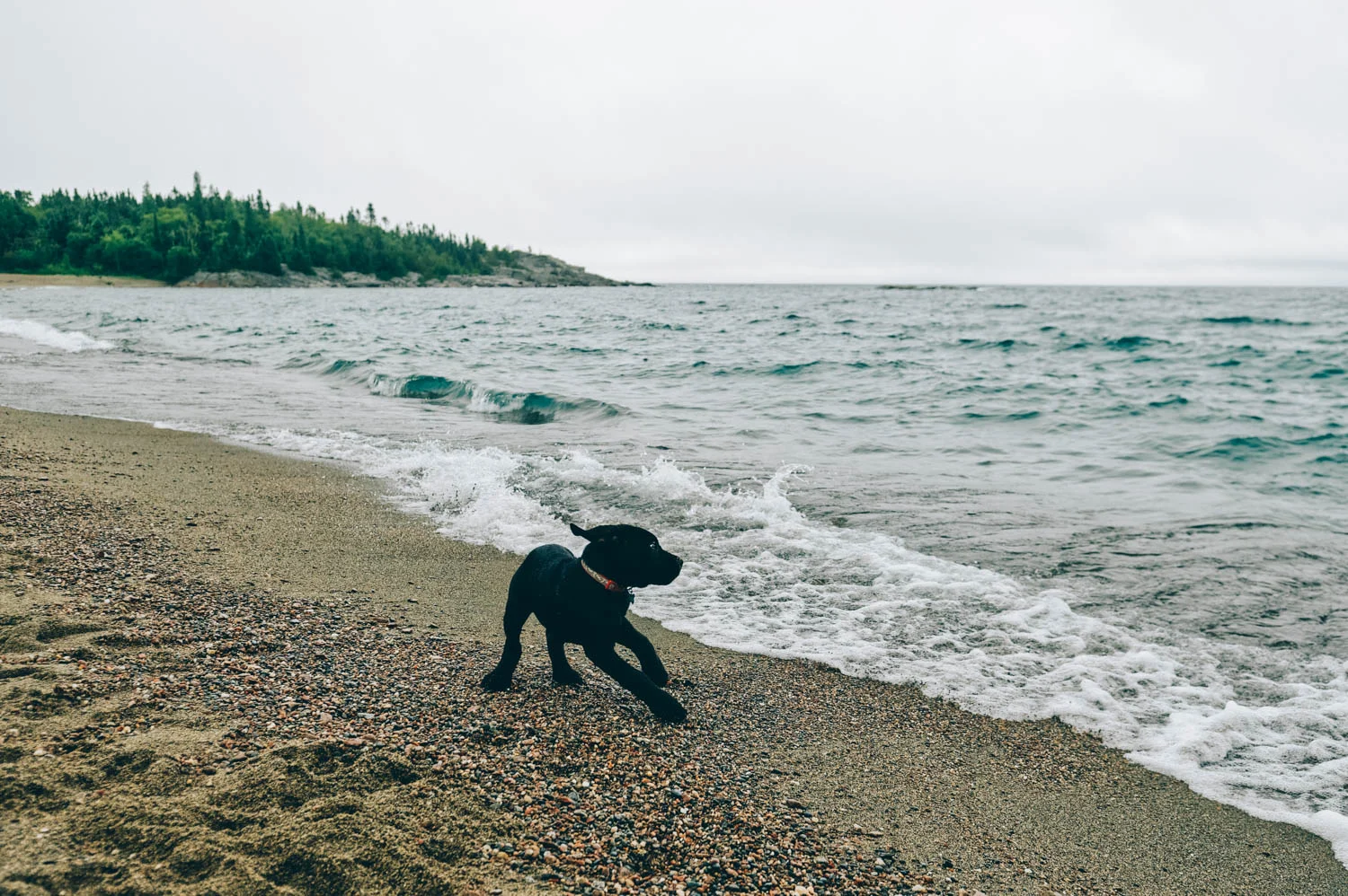 Oh no! The scary waves are out to get me!