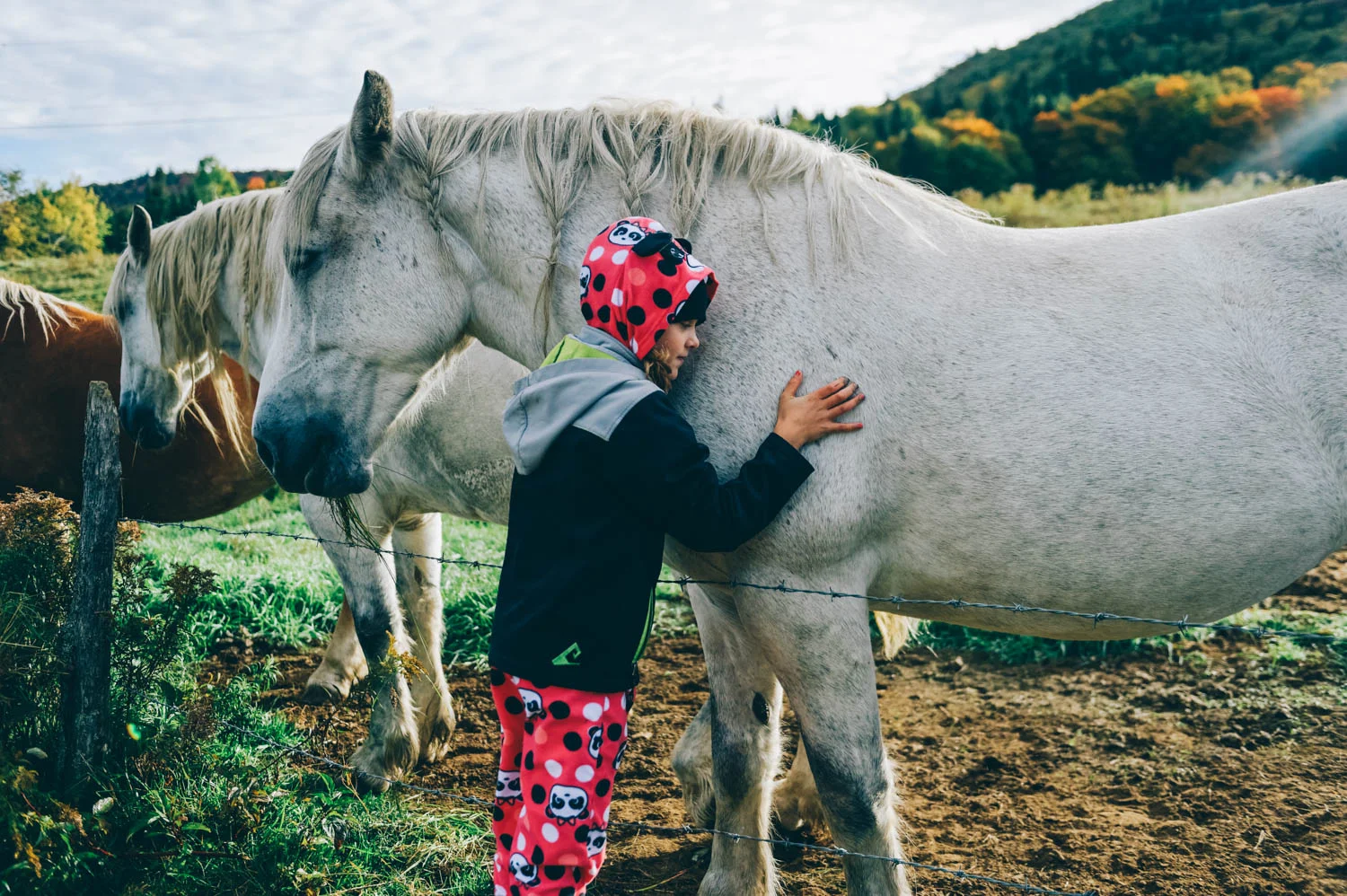 When was the last time you hugged a horse while still in your pyjama?
