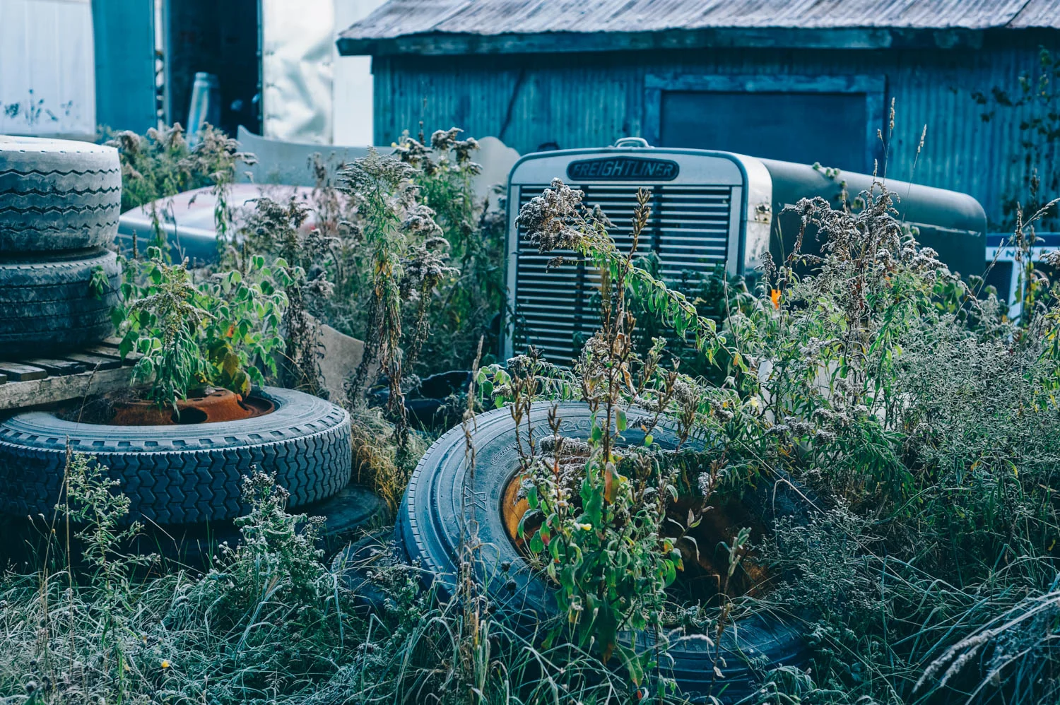 Too many nights in a garage yard while the bus was getting fixed...