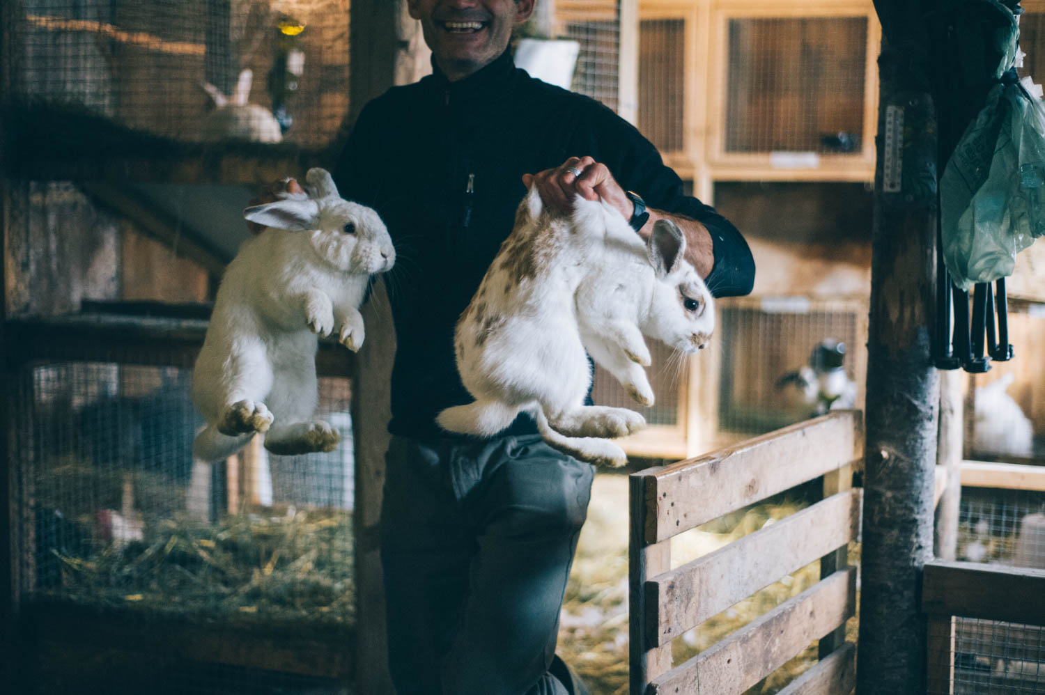 Bunny transport for outside time.