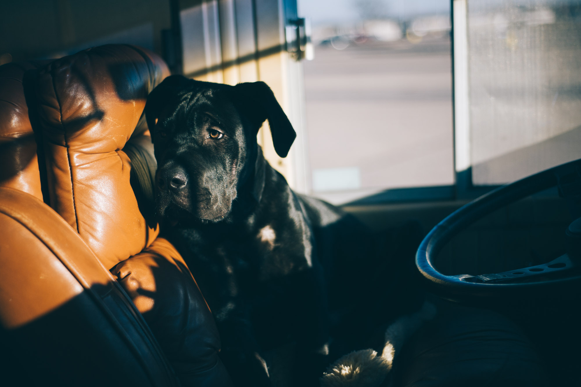 Are we there yet?
