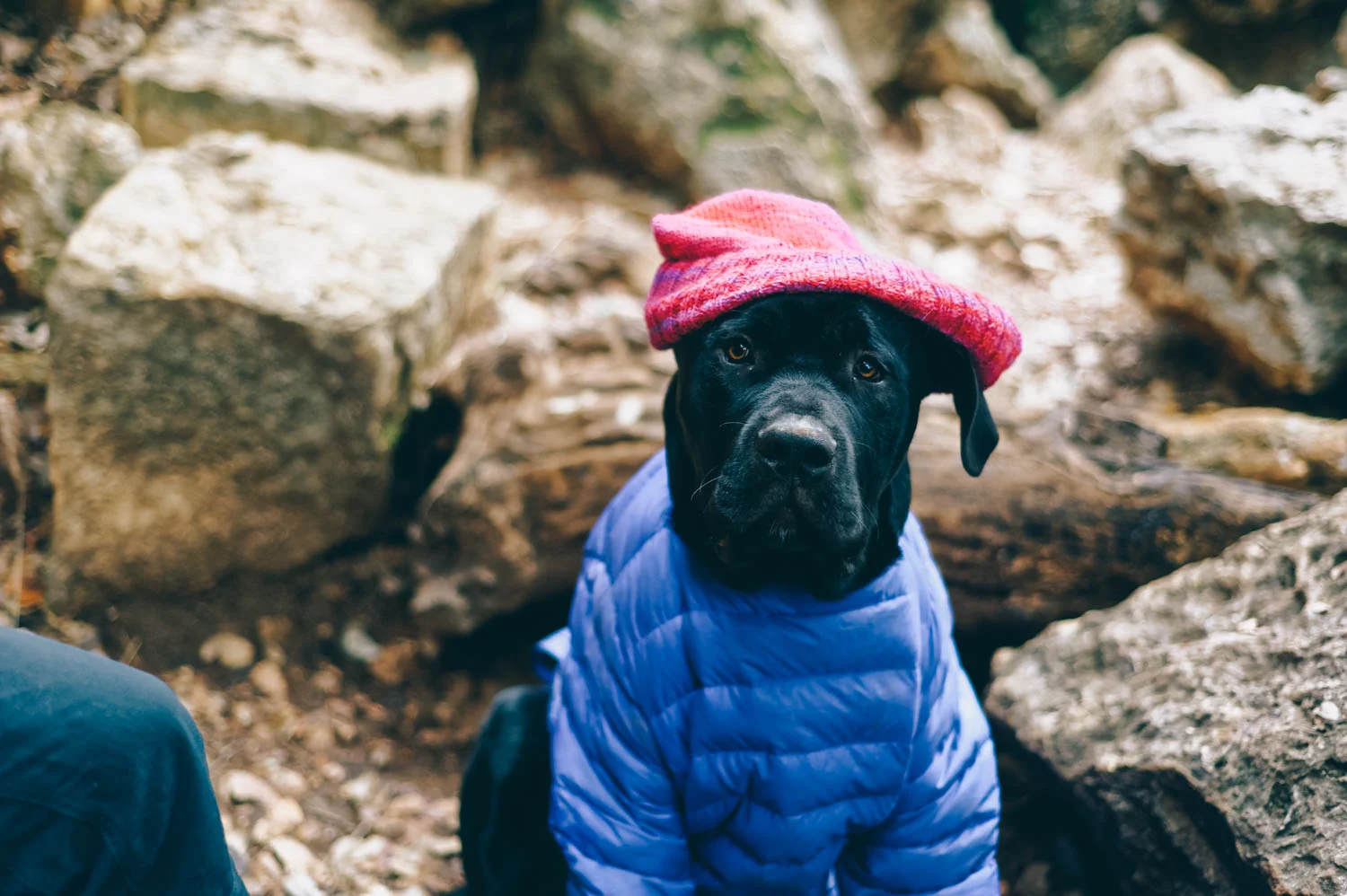 Someone was cold and wore a Patagonia jacket while we climbed.