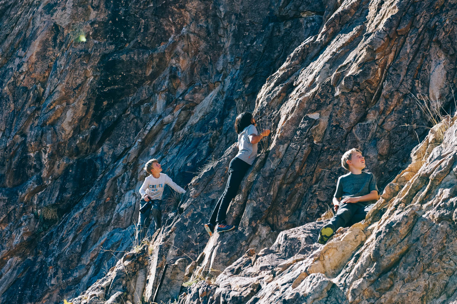 Mountain goats.