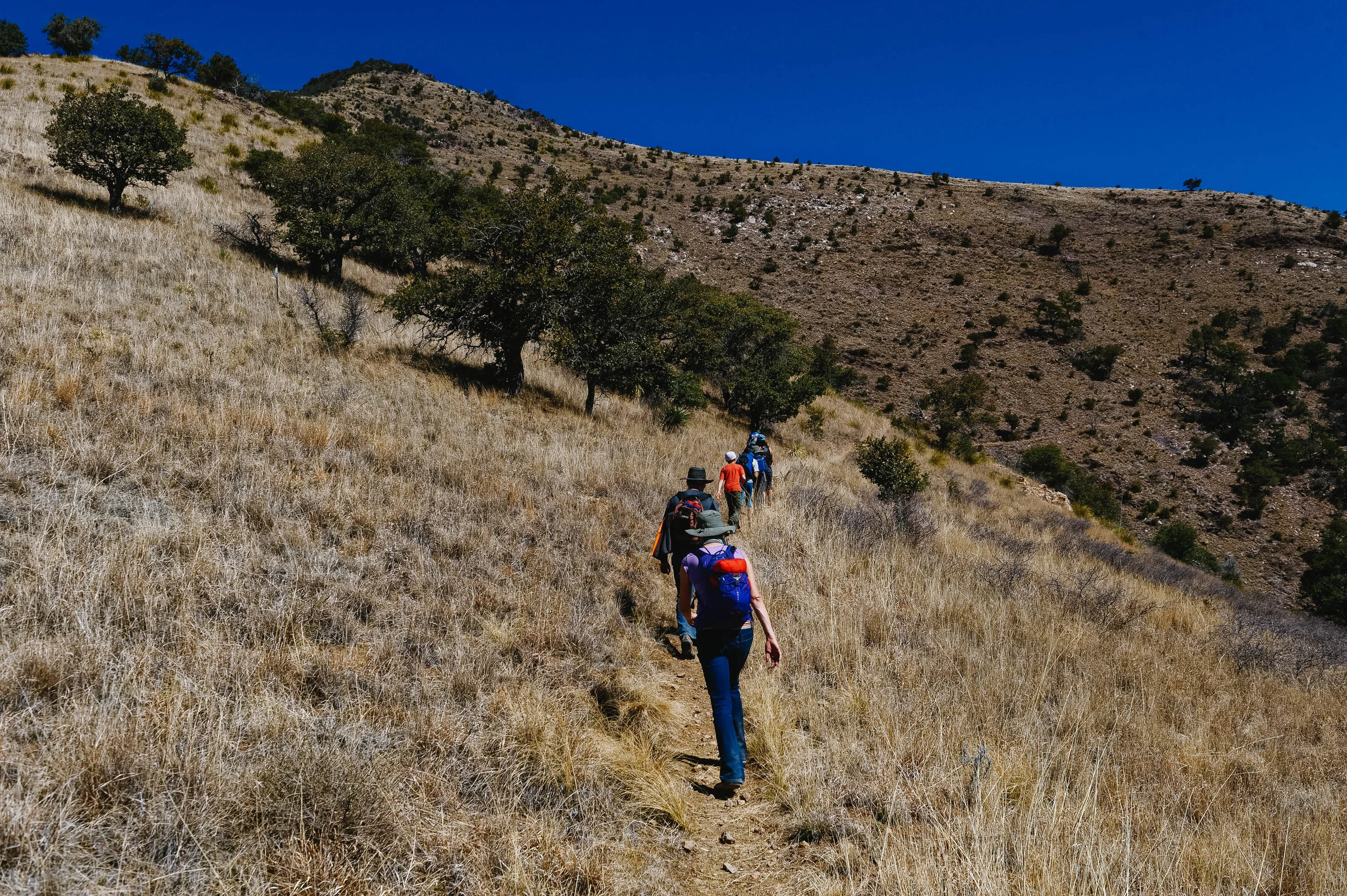Then, we drove up to Montezuma Pass trailhead at 6,300 feet of elevation.