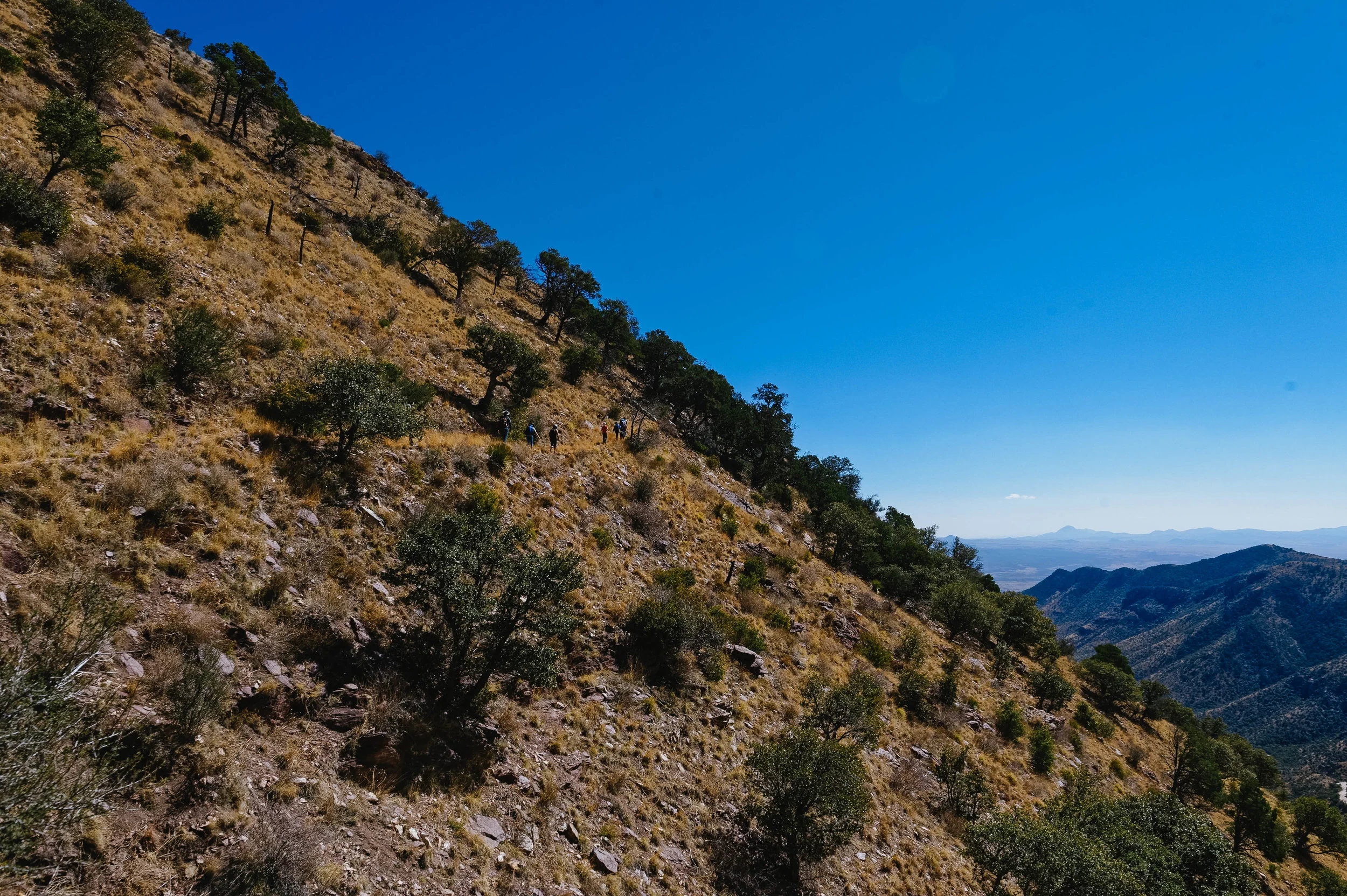 Can you see us on the mountain side?