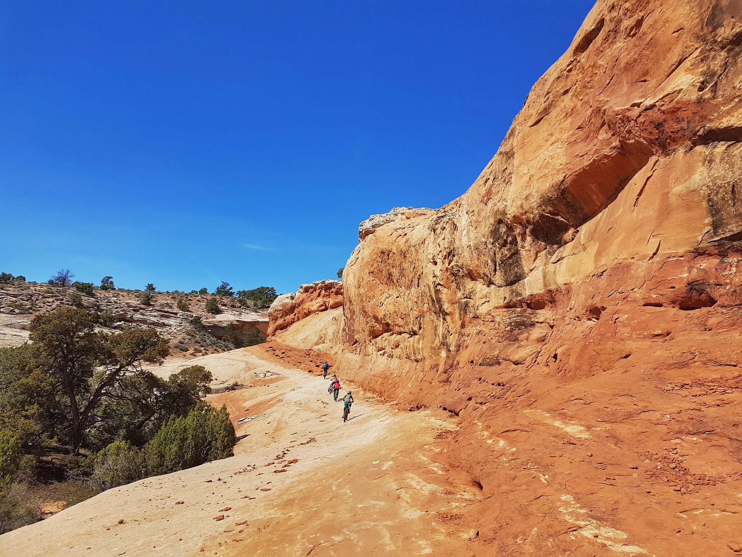 Rocky Tops trail (Navajo Rocks trail system).