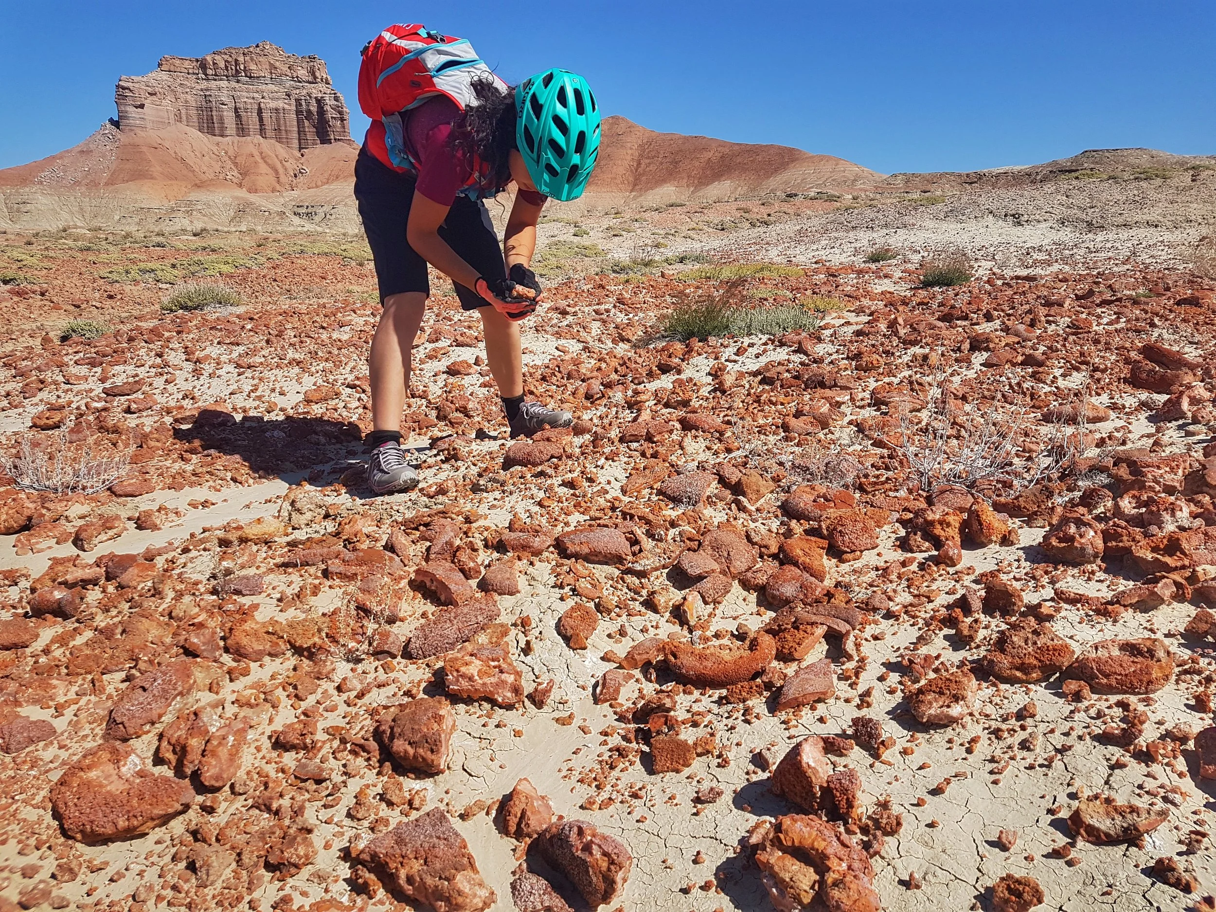 Looking at agates and jasper on the Buffalo Head trail.