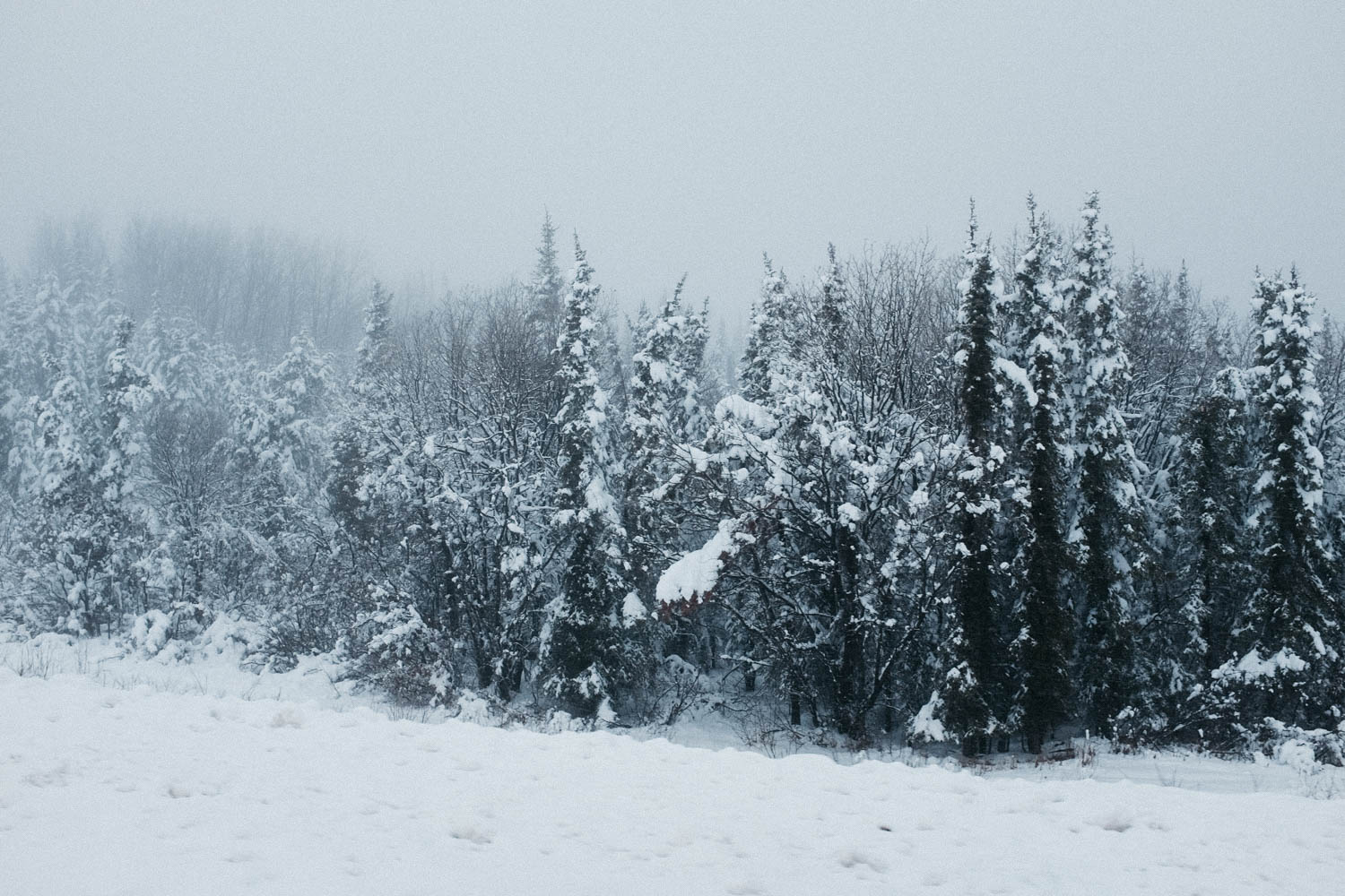 There was even snow between Fort St. John and Fort Nelson!