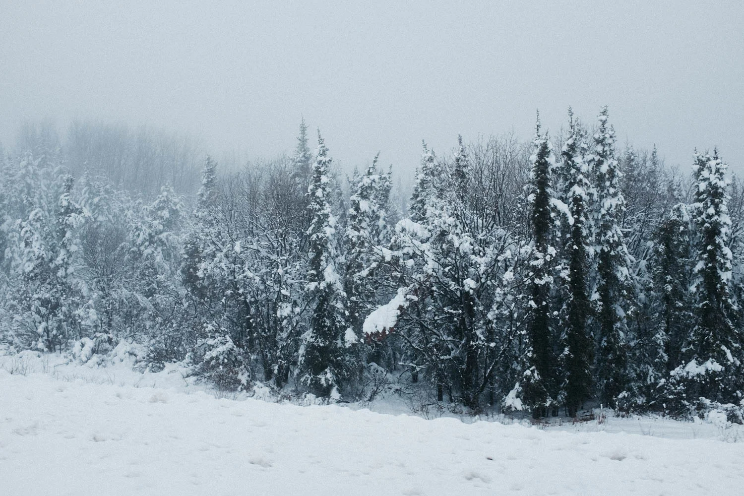 There was even snow between Fort St. John and Fort Nelson!