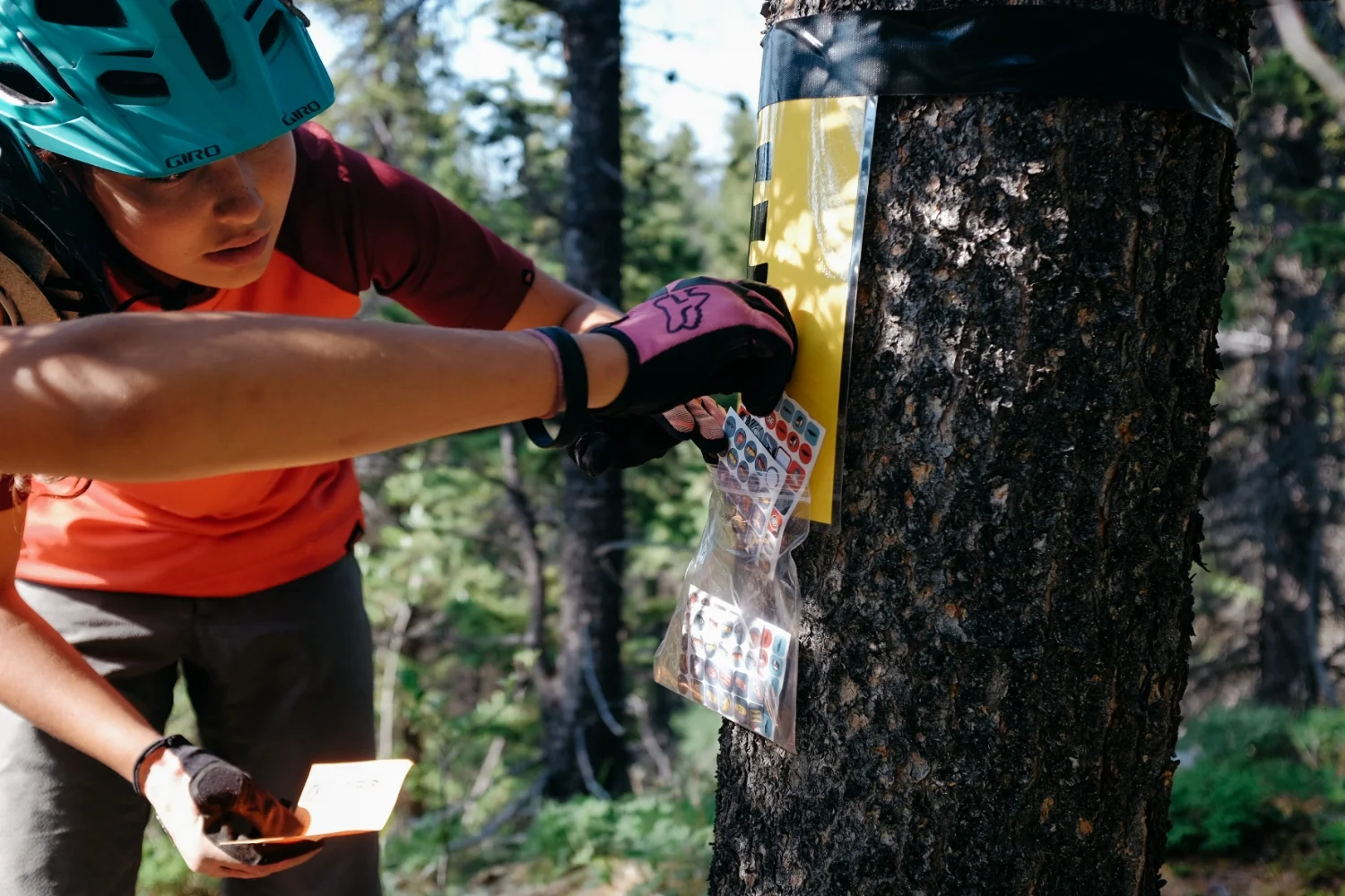 Filling up their Explorer Cards, trying new trails on the mountain.
