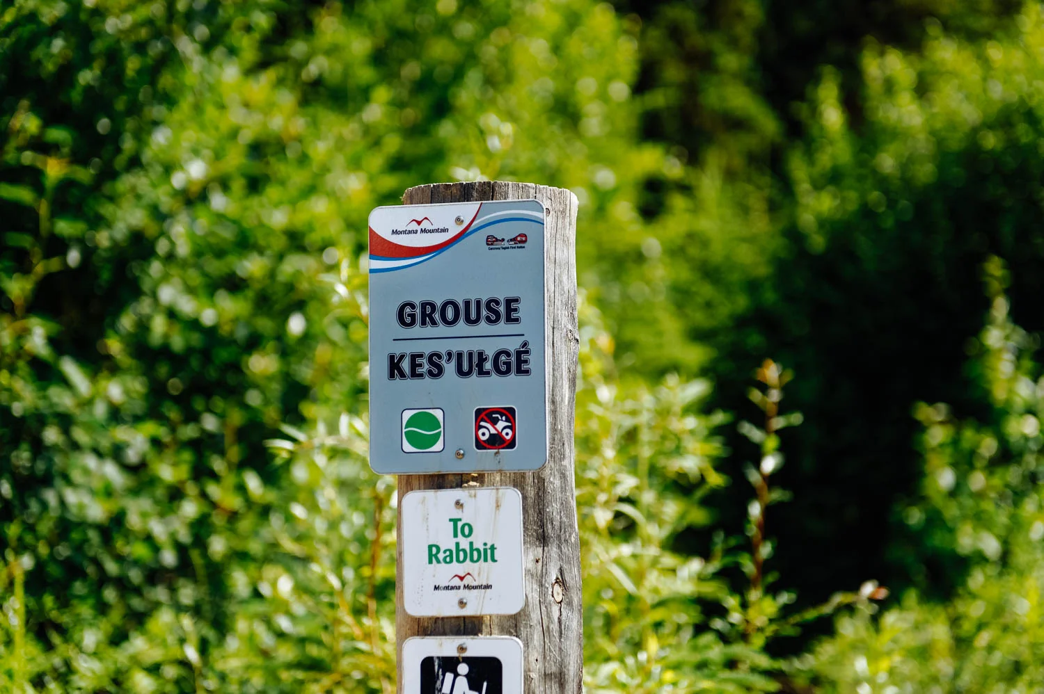 I love that all the trail signs are in their native language too (yes, that's the least. Montana Mountain is the Carcross/Tagish First Nation sacred mountain).