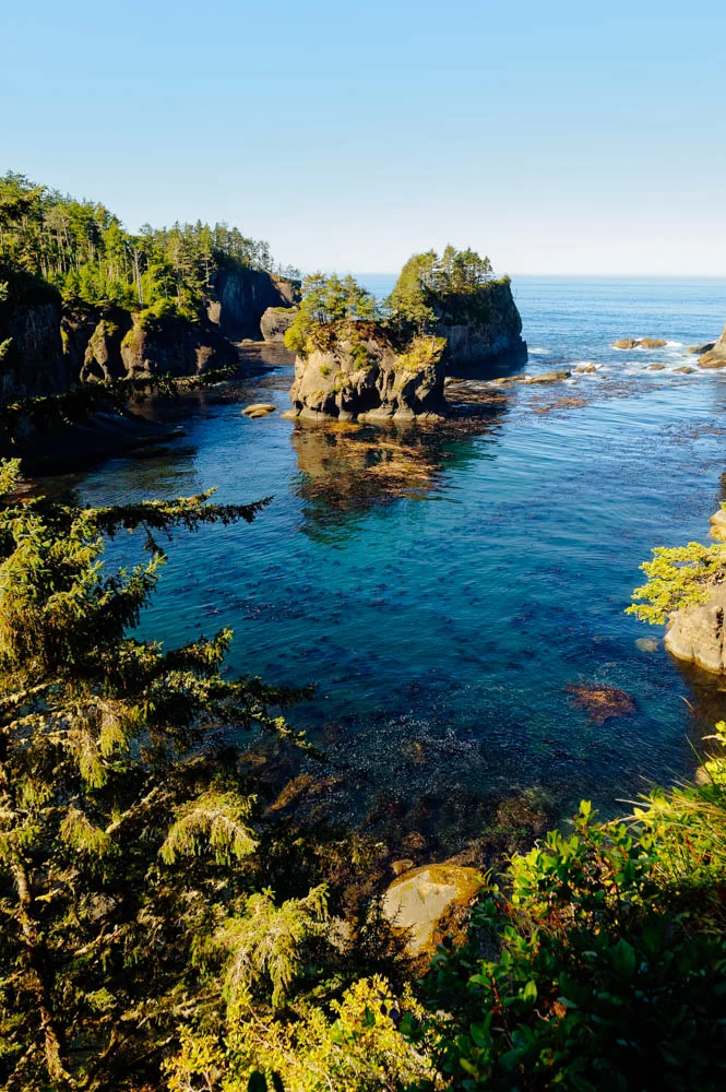 View at the tip of Cape Flattery