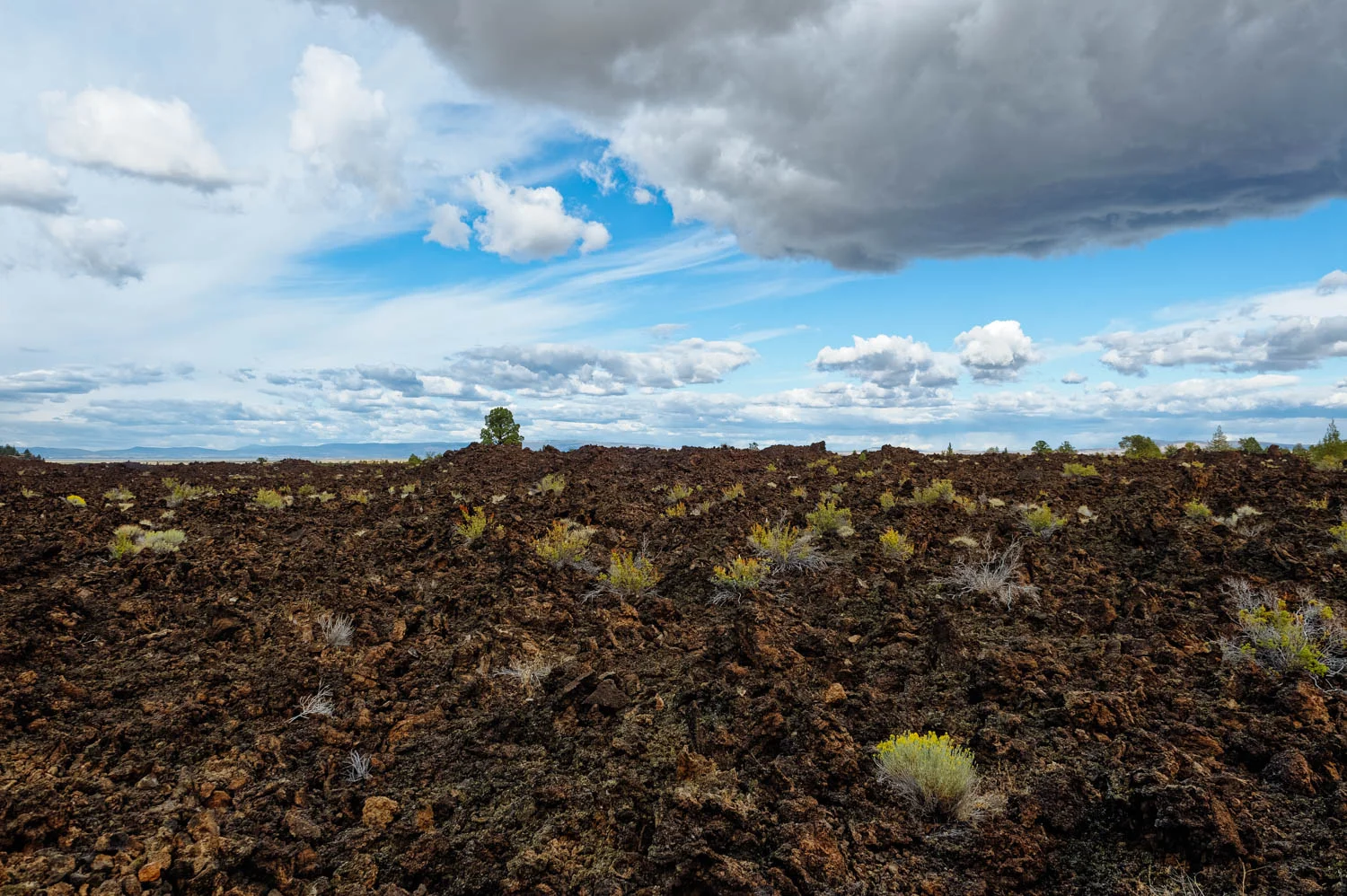 Lava fields 