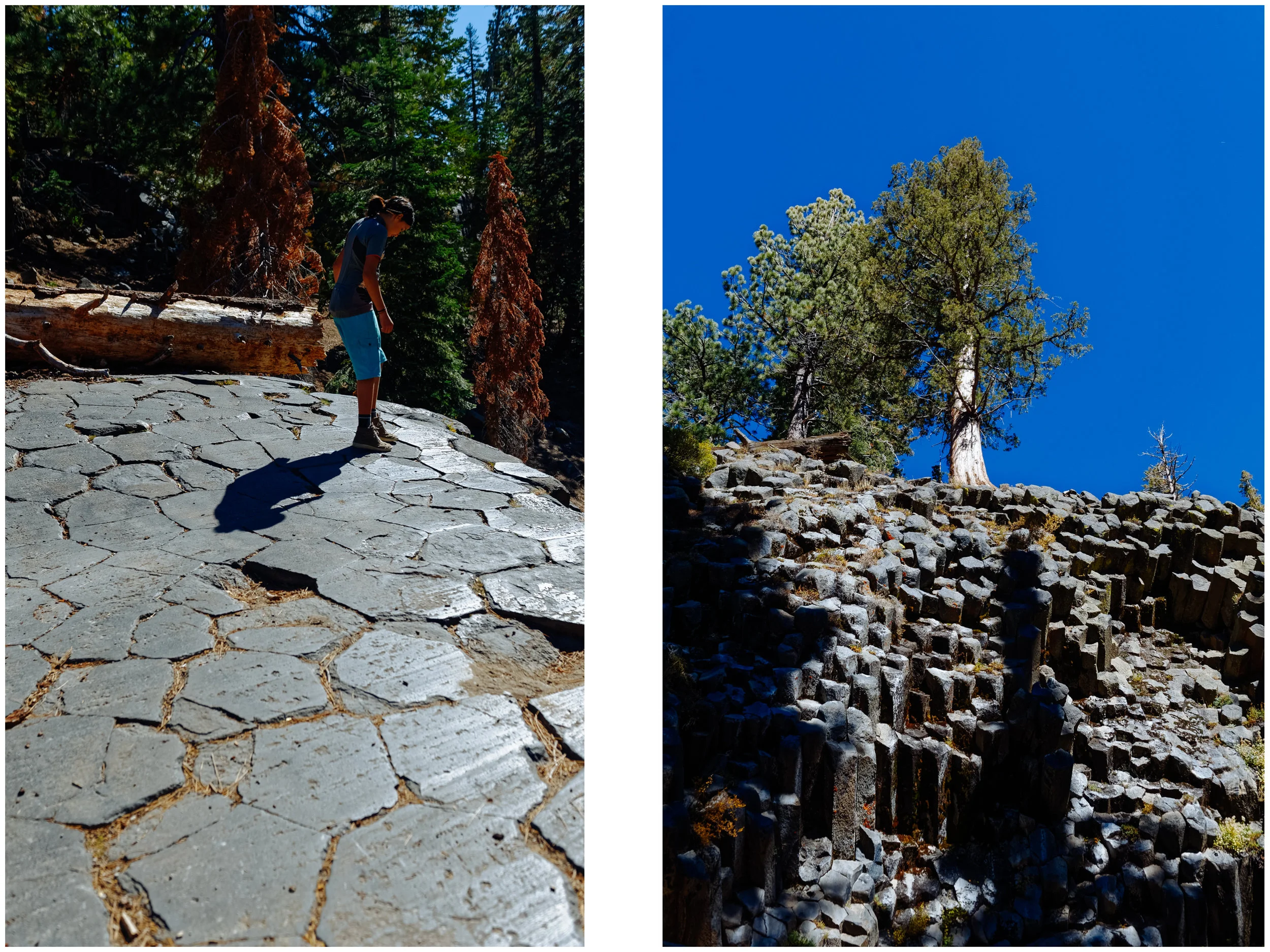 Devil's Postpile seen from above (left) and another cool basalt columns formation from the area on the right.