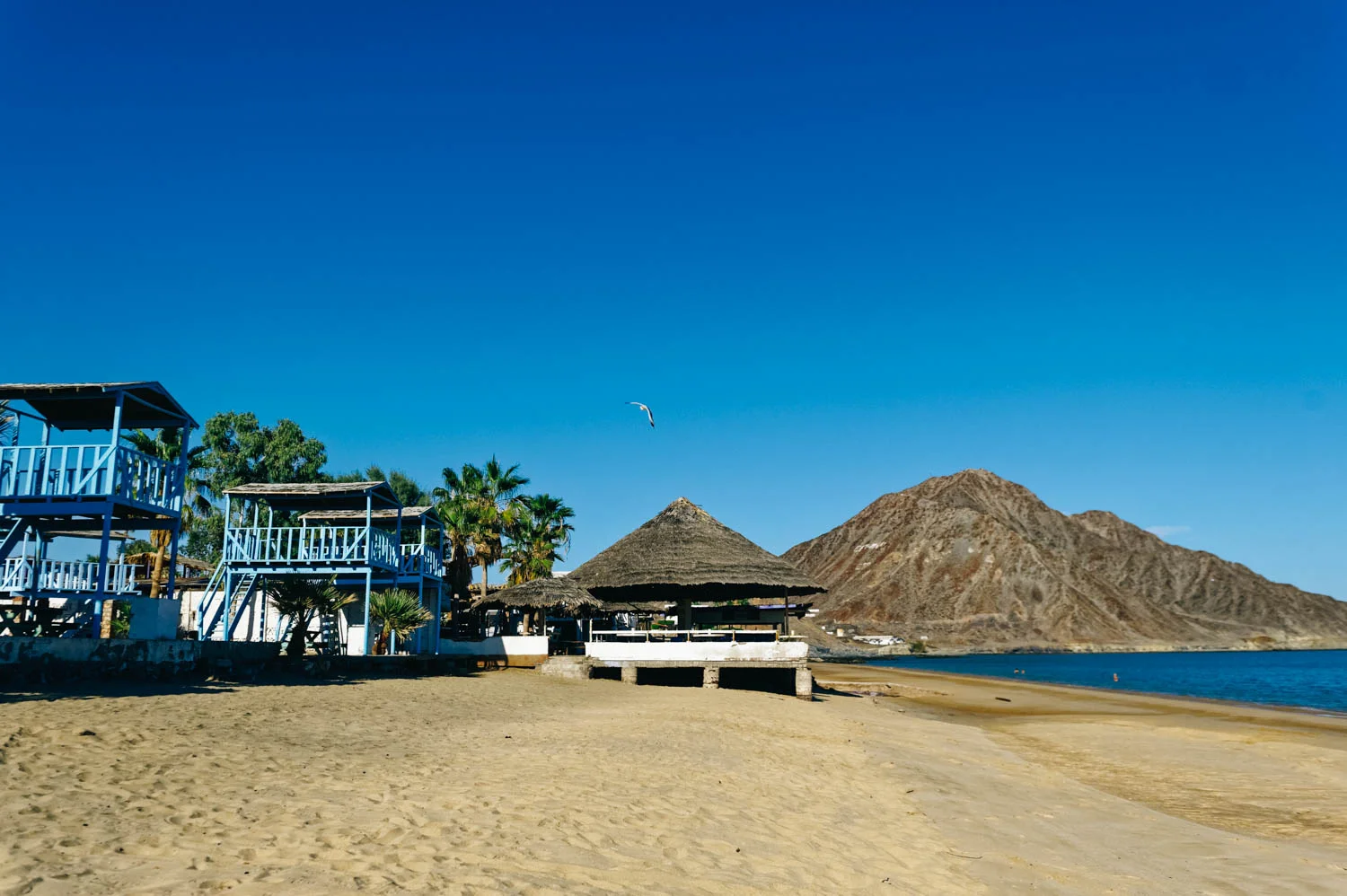 That beach was so nice and clean. The only downside were the stray dogs. Traveling to Mexico with an non-neutered dog might not have been our best move... a tad bit stressful.