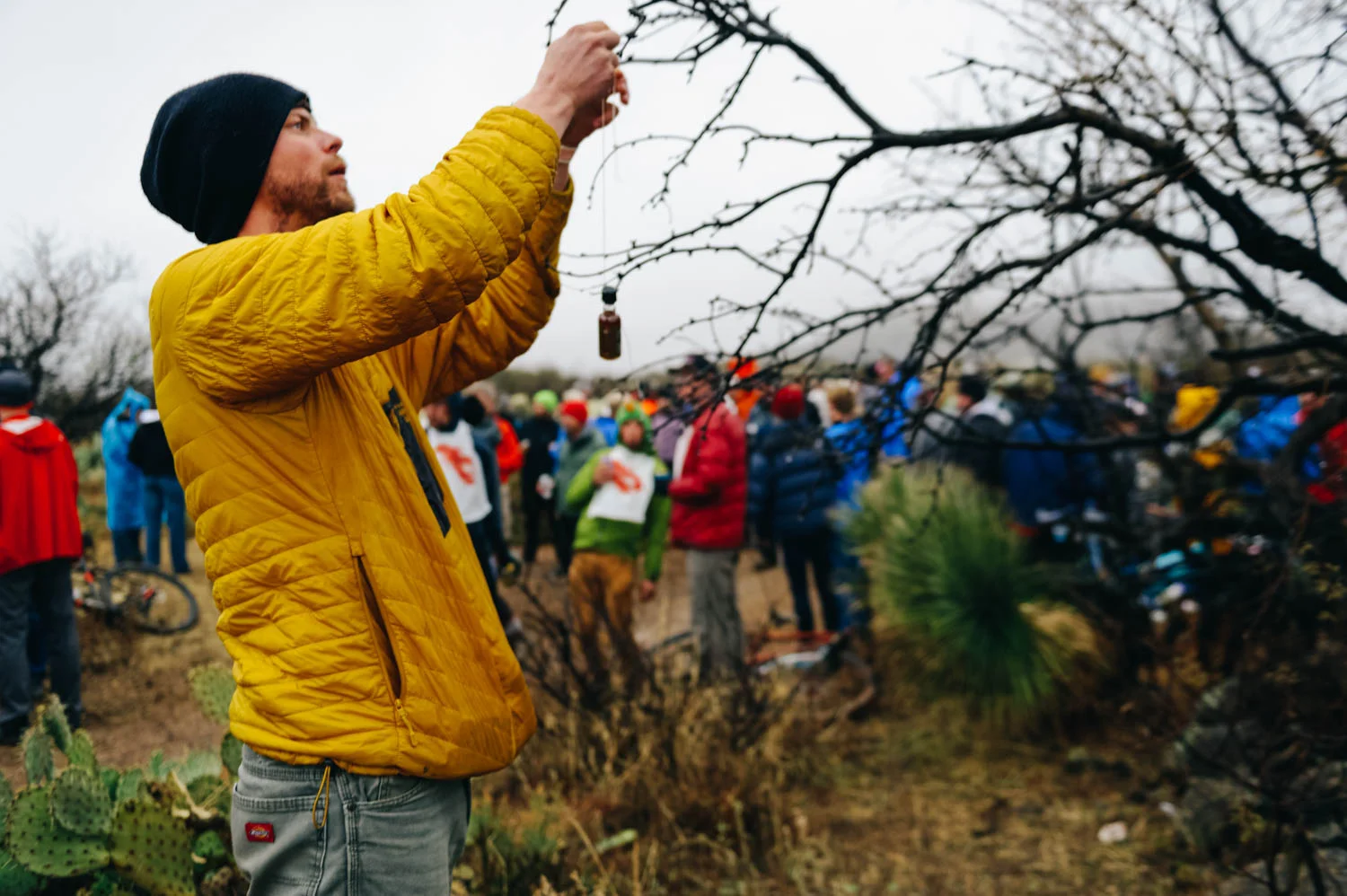 Tying a bottle to the Whiskey Tree.