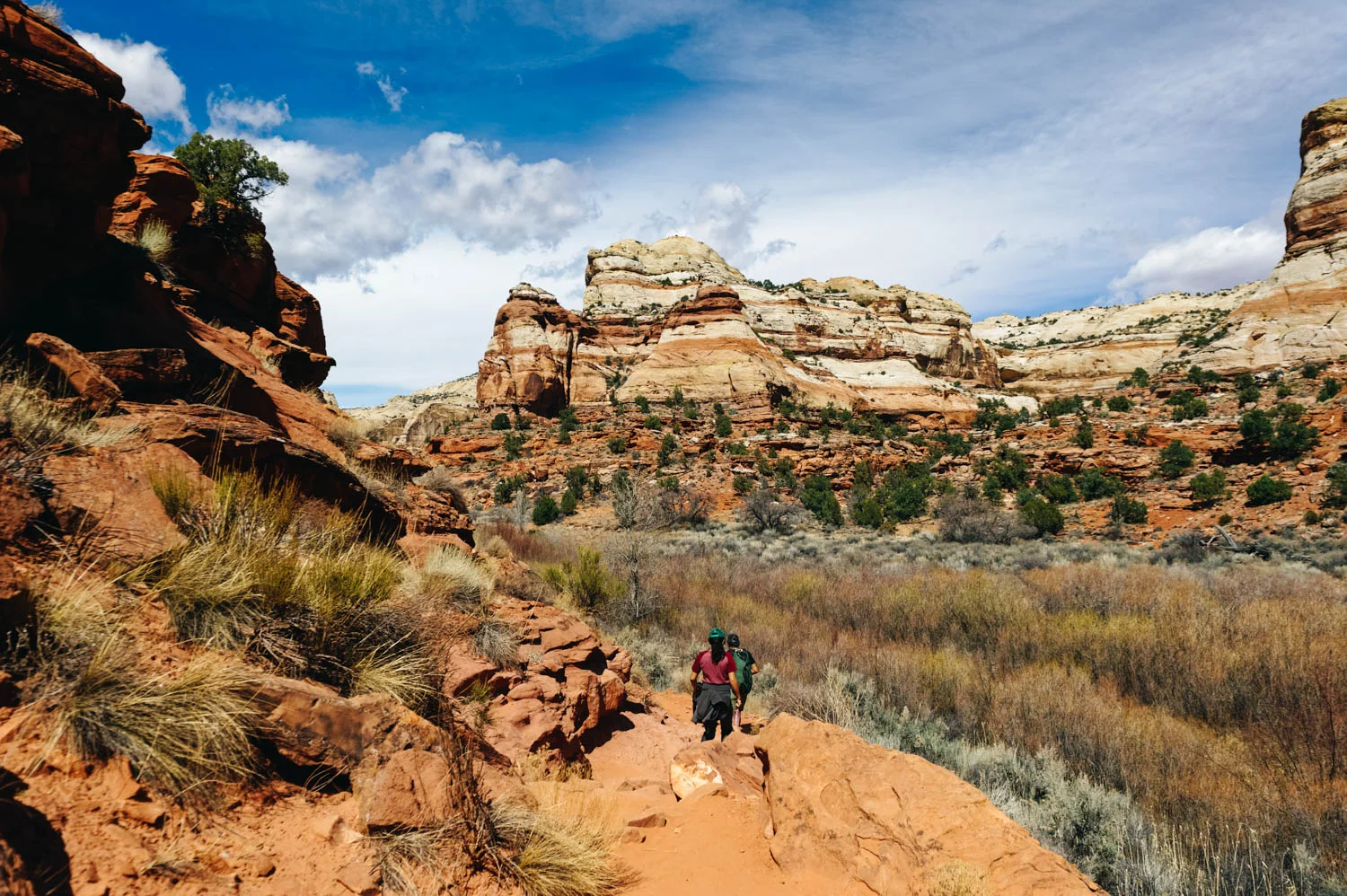 Hike to Lower Calf Creek Falls