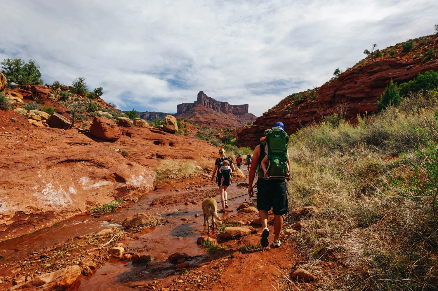 After about 5 minutes of walking on the trail, you have to get your feet wet!