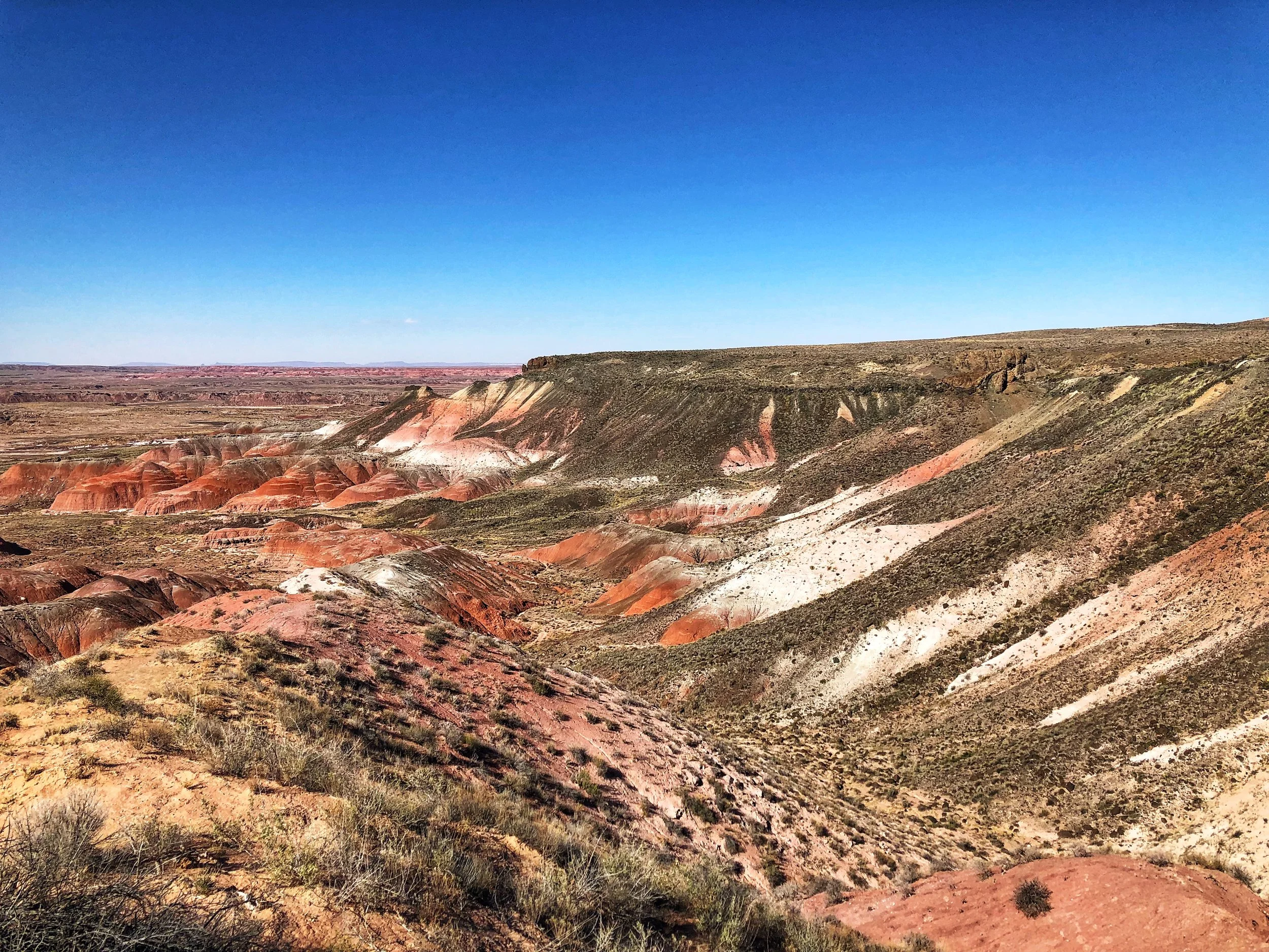 The next day, we went to visit the Petrified Forest National Park. This is the painted desert part. Just gorgeous.