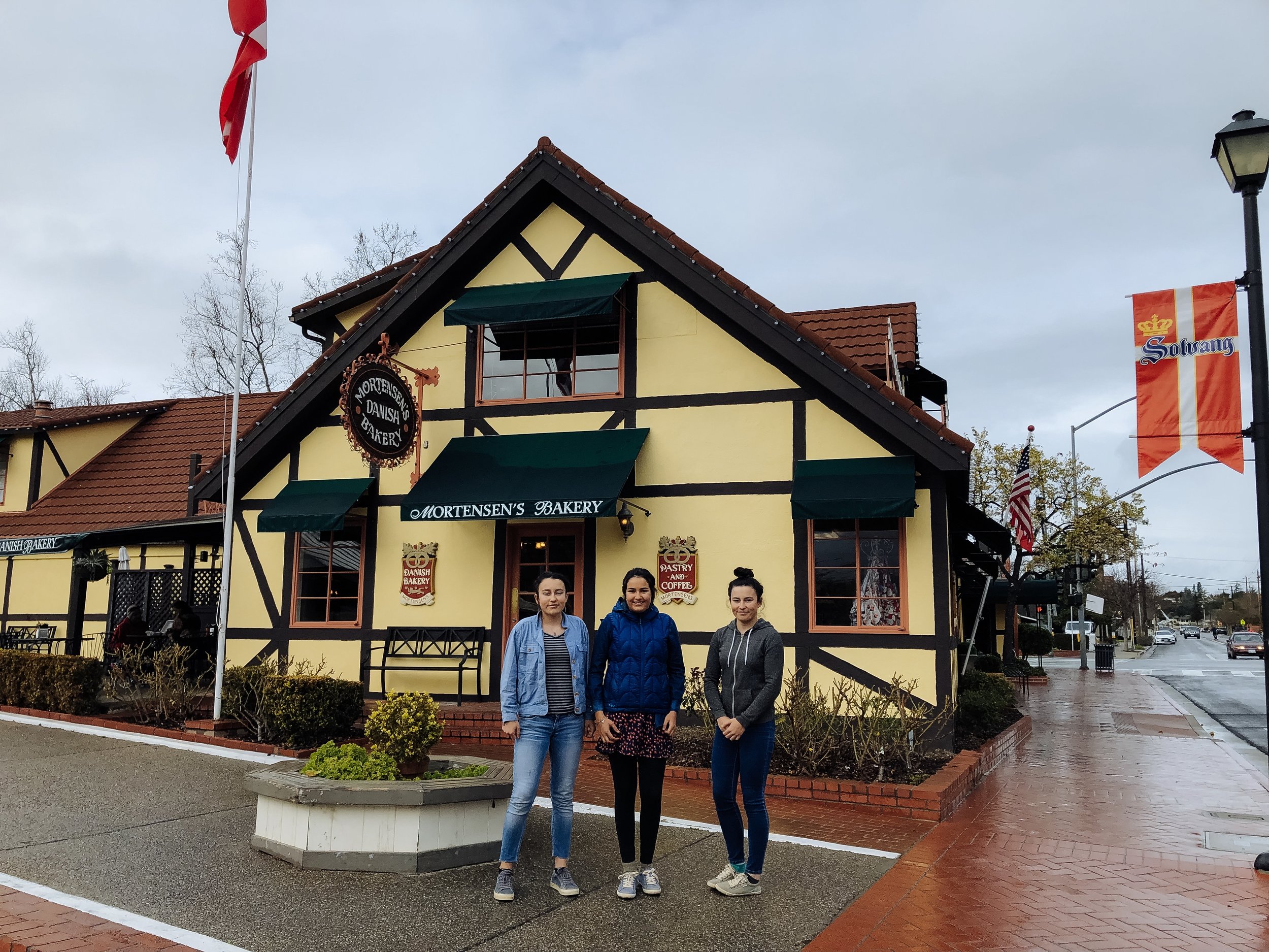 I expected Solvang, the self-proclaimed Danish capital of the USA, to be pretty kitsch, but honestly, old-world Danish architecture and Danish pastries (try the folded crêpe at Mortensen’s) make up for the cheap looking souvenir boutiques and 3 (yes, 3!) windmills.