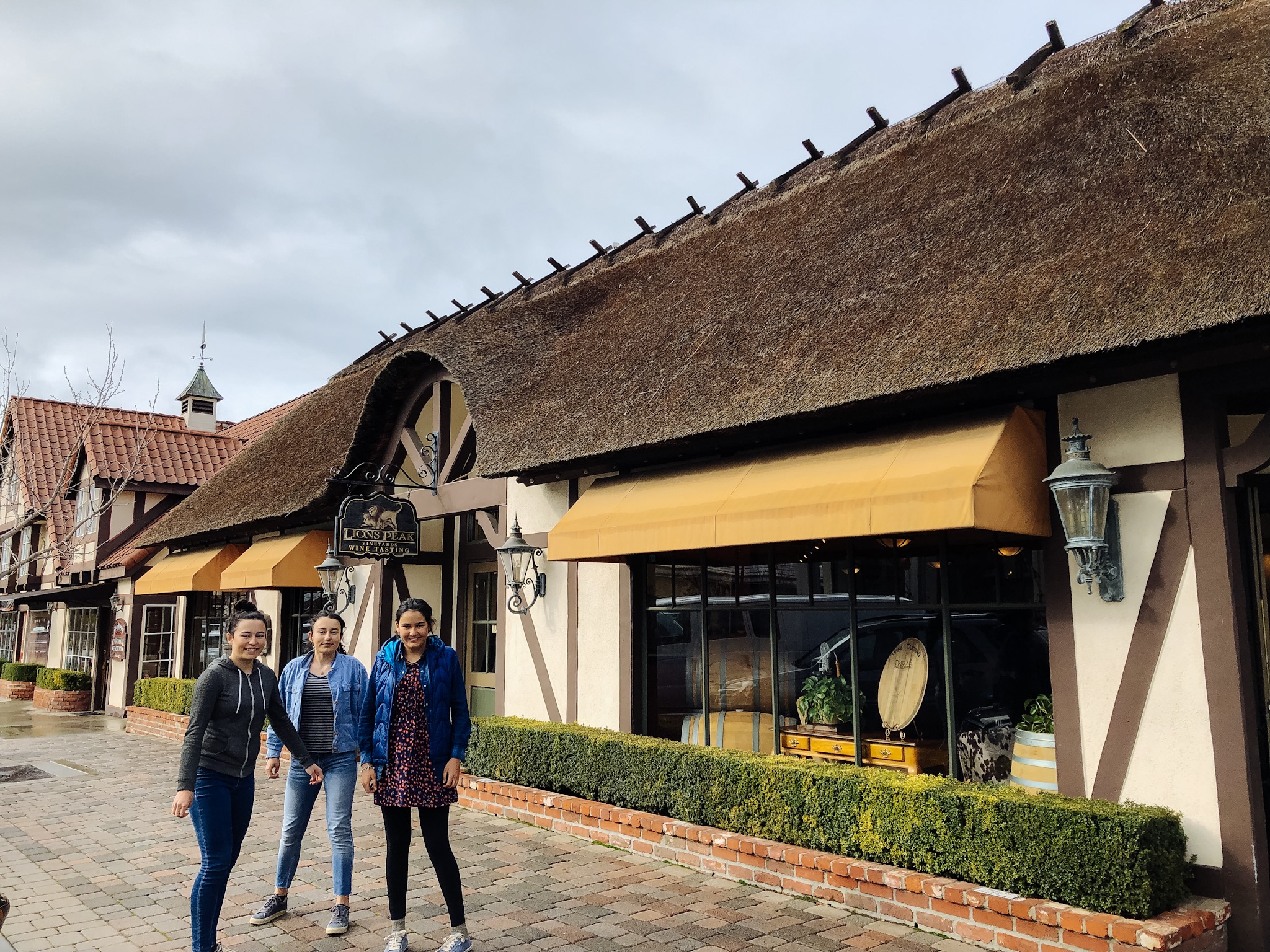 We were there on a Tuesday and were impressed by their small but good and affordable Farmer's market. It made this cute little town even more likeable. Our favorite store was the old bookshop where they have the Hans Christian Anderson Museum.