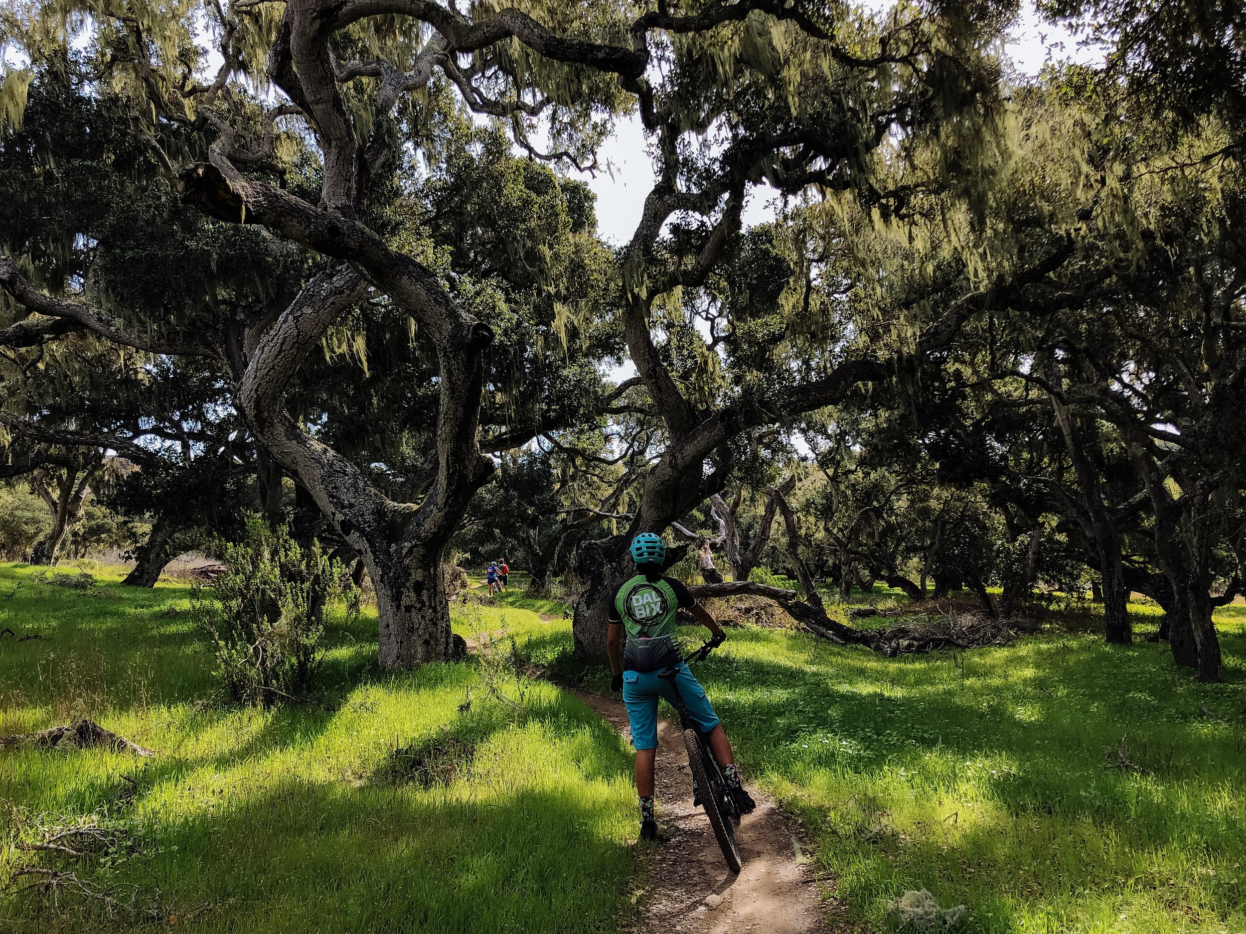 Riding in Fort Ord.