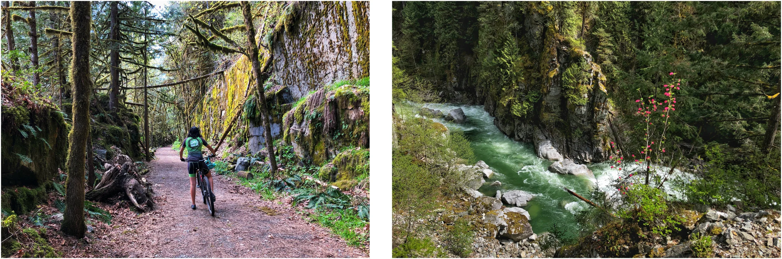 It was still a short pretty bike ride. And there was a bear on the trail!!