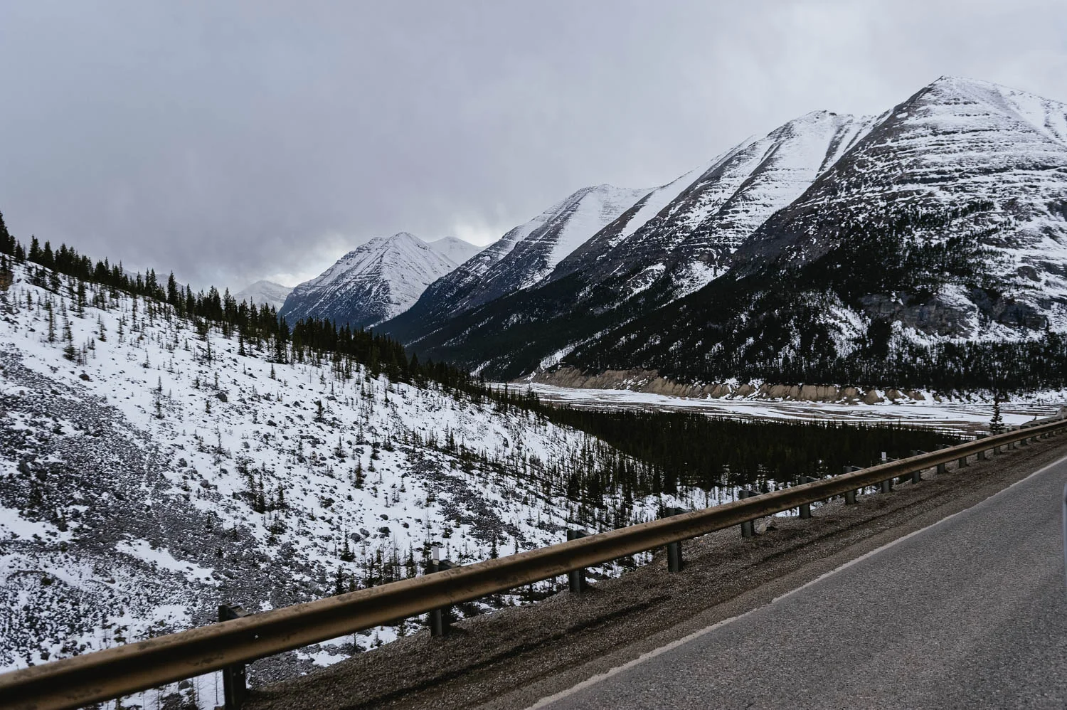 Such a spectacular drive! It’s the first time we drive up that early and it truly is the best time of year to do it!