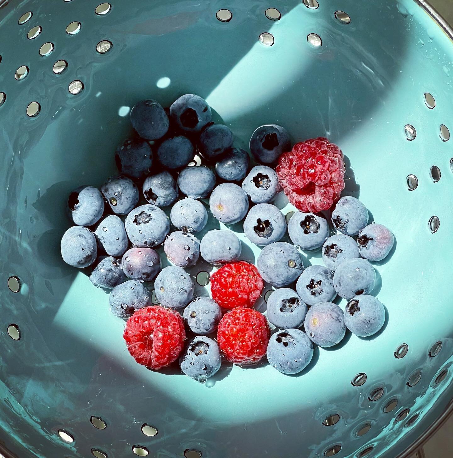 It&rsquo;s one of my favorite ways to start the day in July&hellip; picking-washing-eating berries from the #wunderpotager 💙❤️🫐
I&rsquo;m considering transplanting my berry shrubs into the ground. Gimme all the berries!!

#organicgardening #wunderg