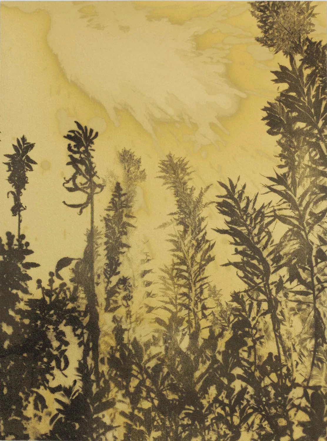 goliga_daisukeyokota_04.jpg