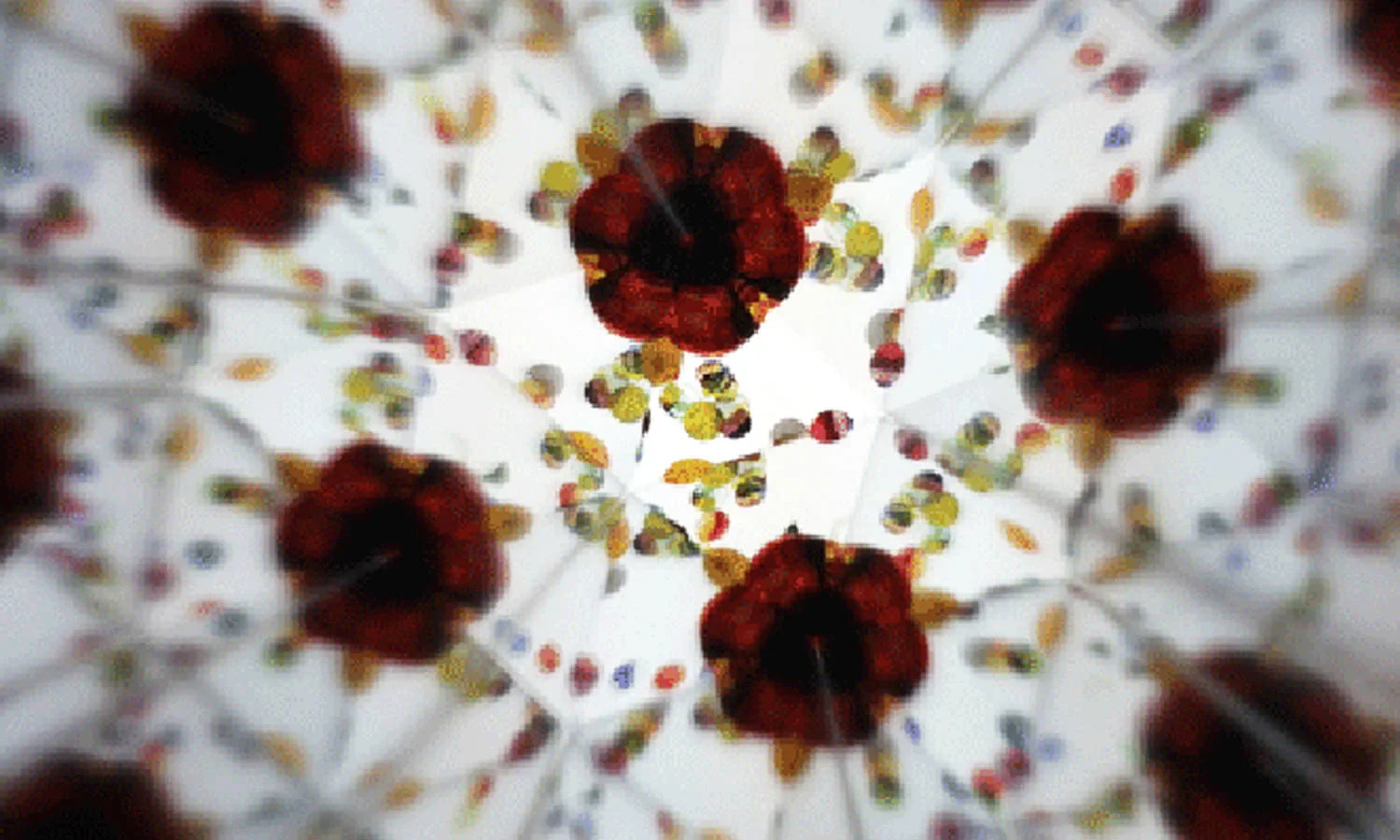 Cozue Takagi Biwashima Kaleidoscope