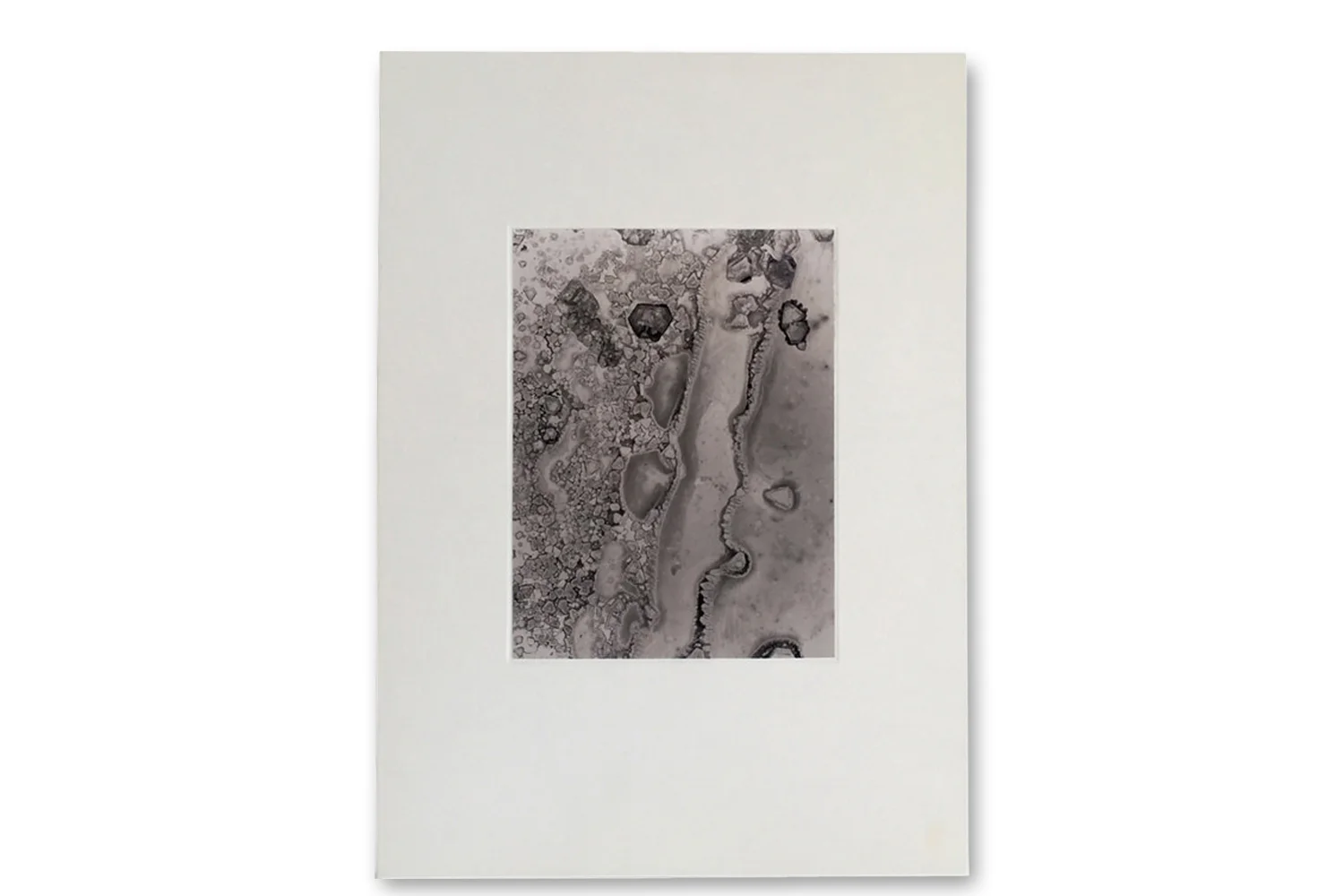 Mayumi Hosokura Transparency is The New Mystery
