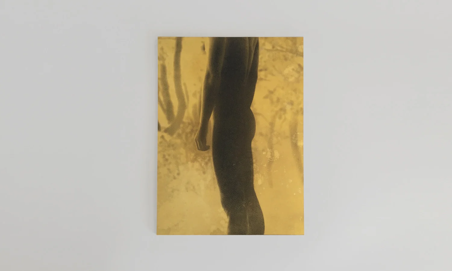 daisukeyokota_09.jpg