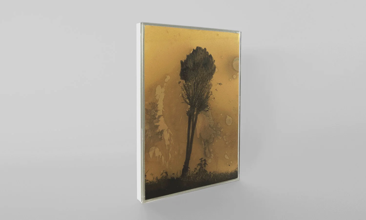 Daisuke Yokota Untitled (Display Edition)