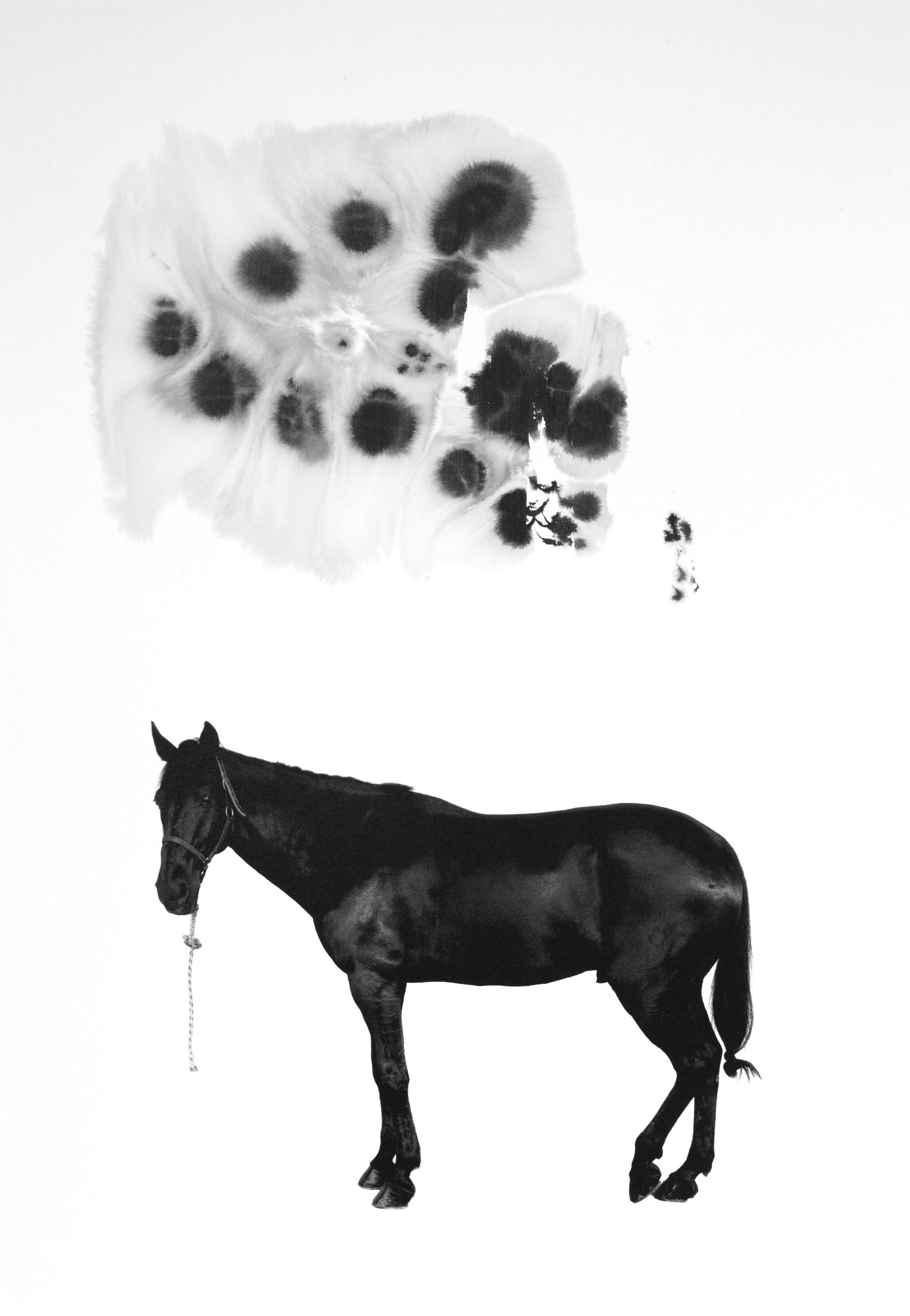 Noir 7
