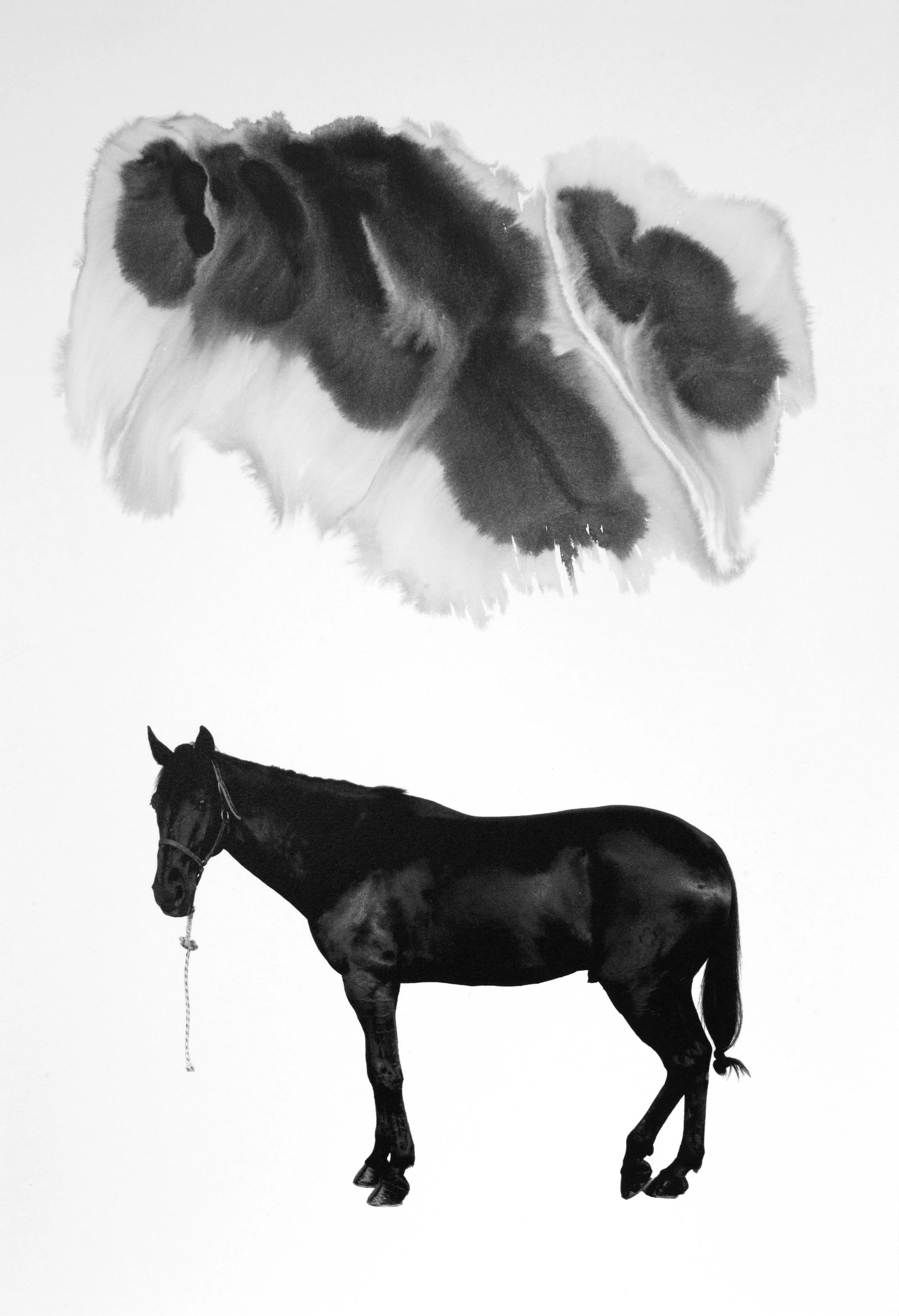 Noir 8 (Sold)