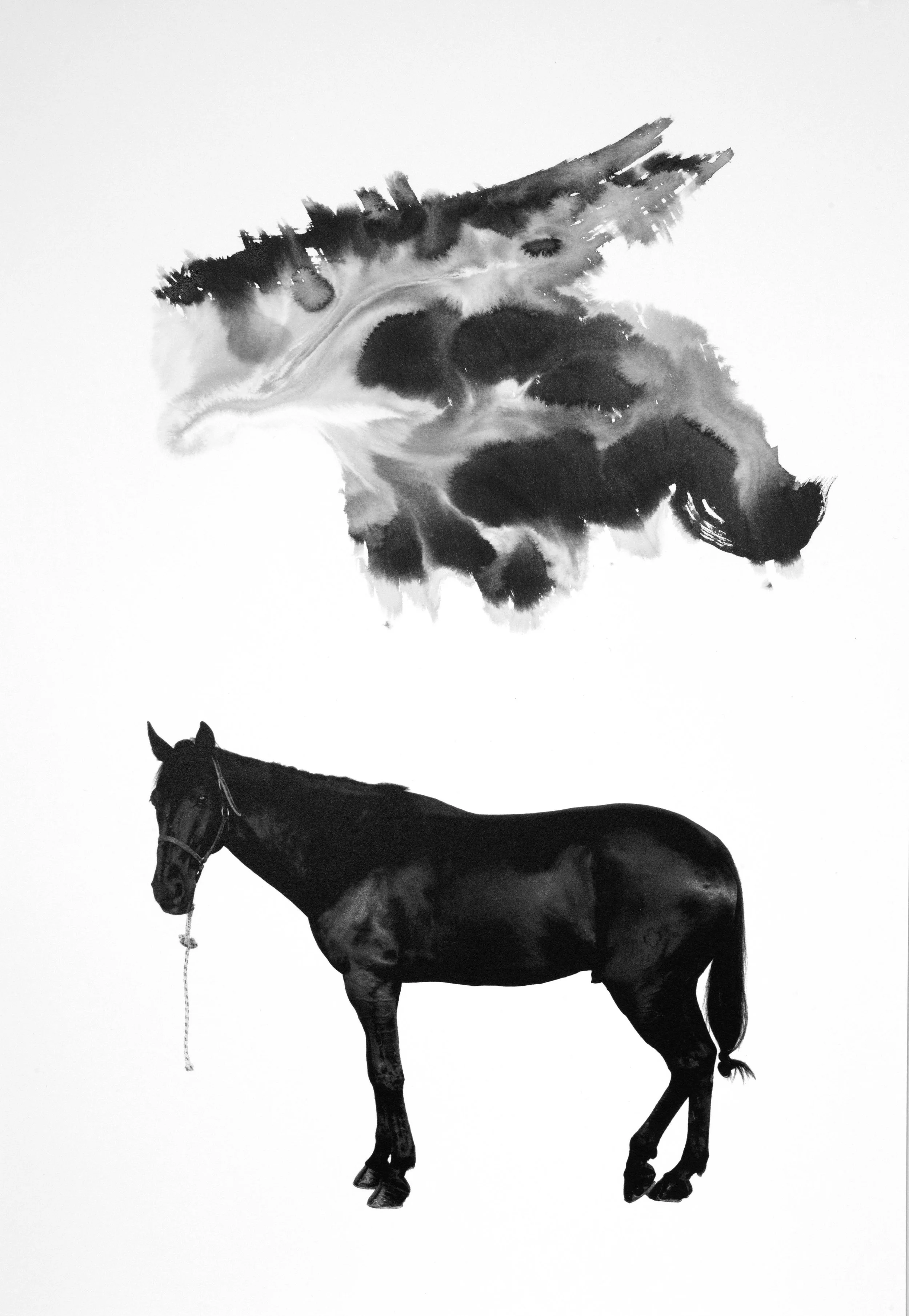 Noir 11