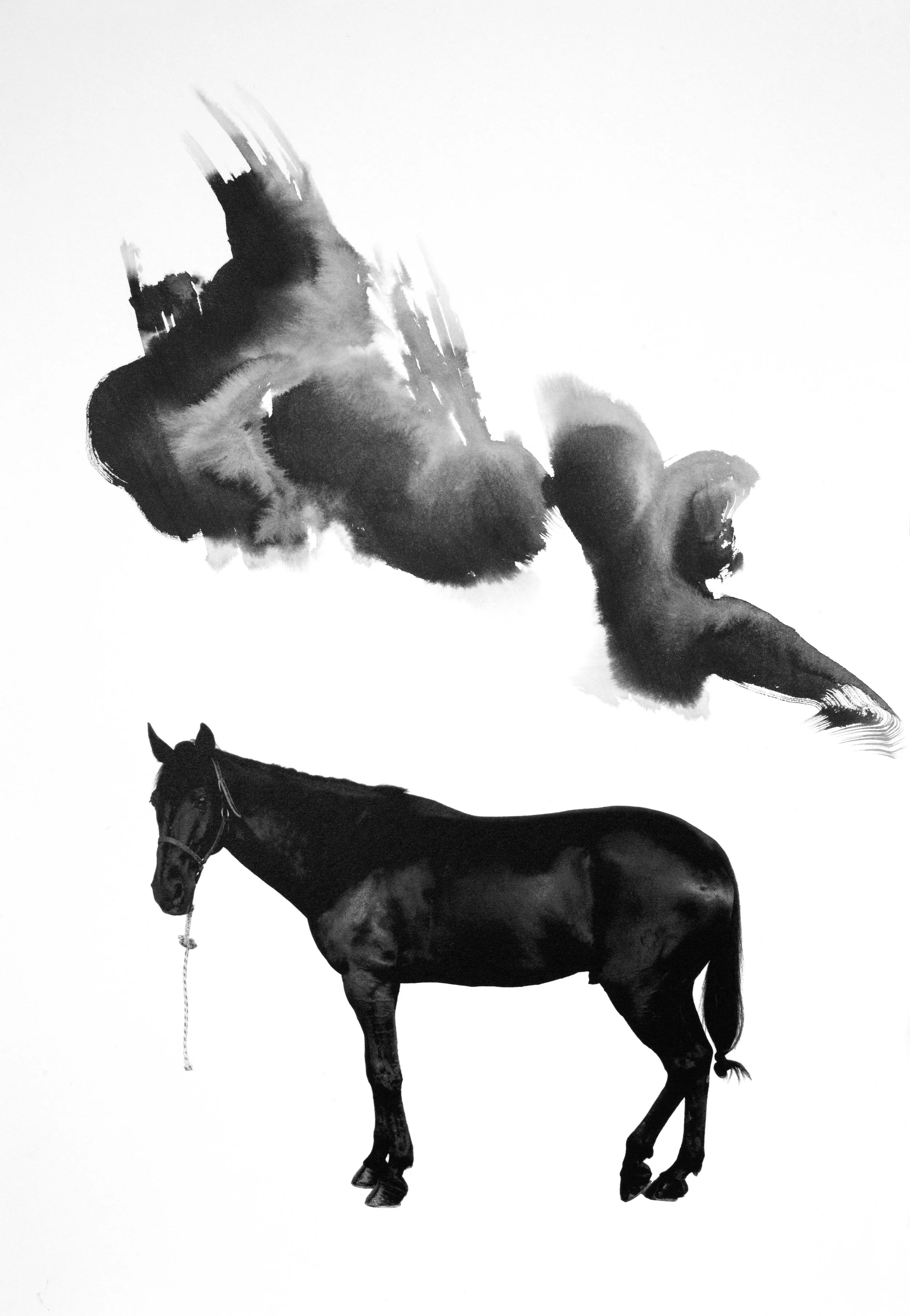 Noir 10